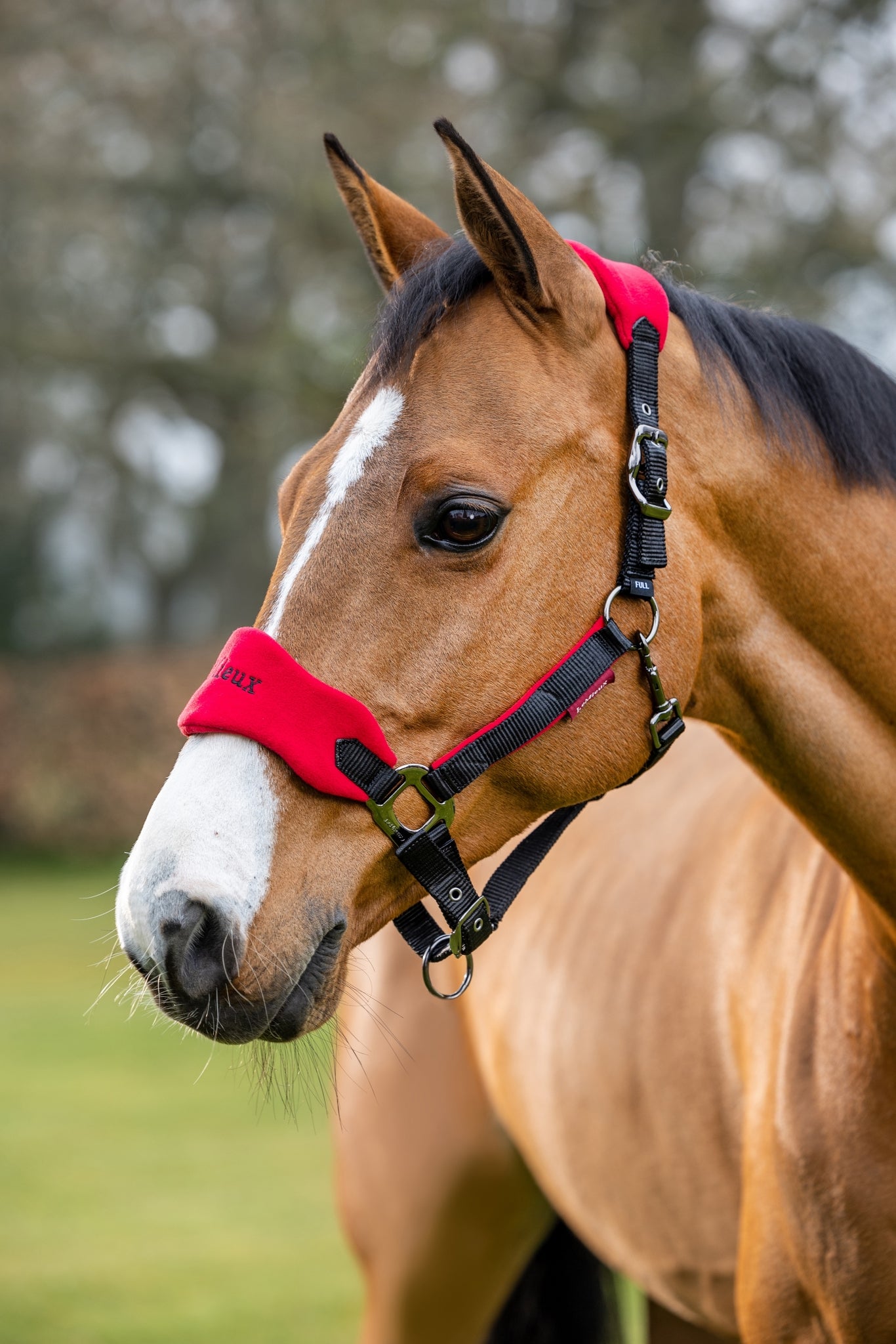 Lemieux Vogue Halter & Leadrope