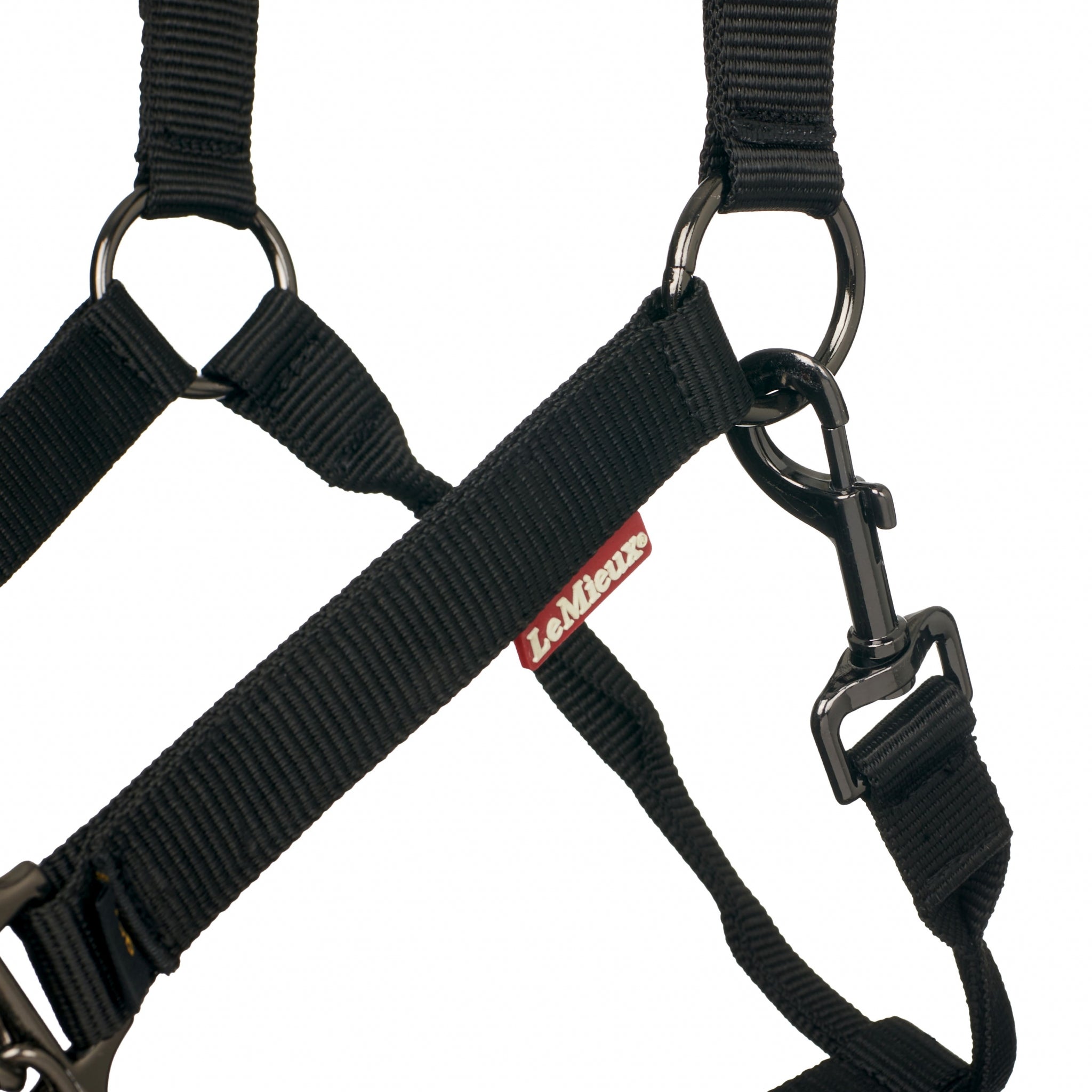 Lemieux ProSafe Halter