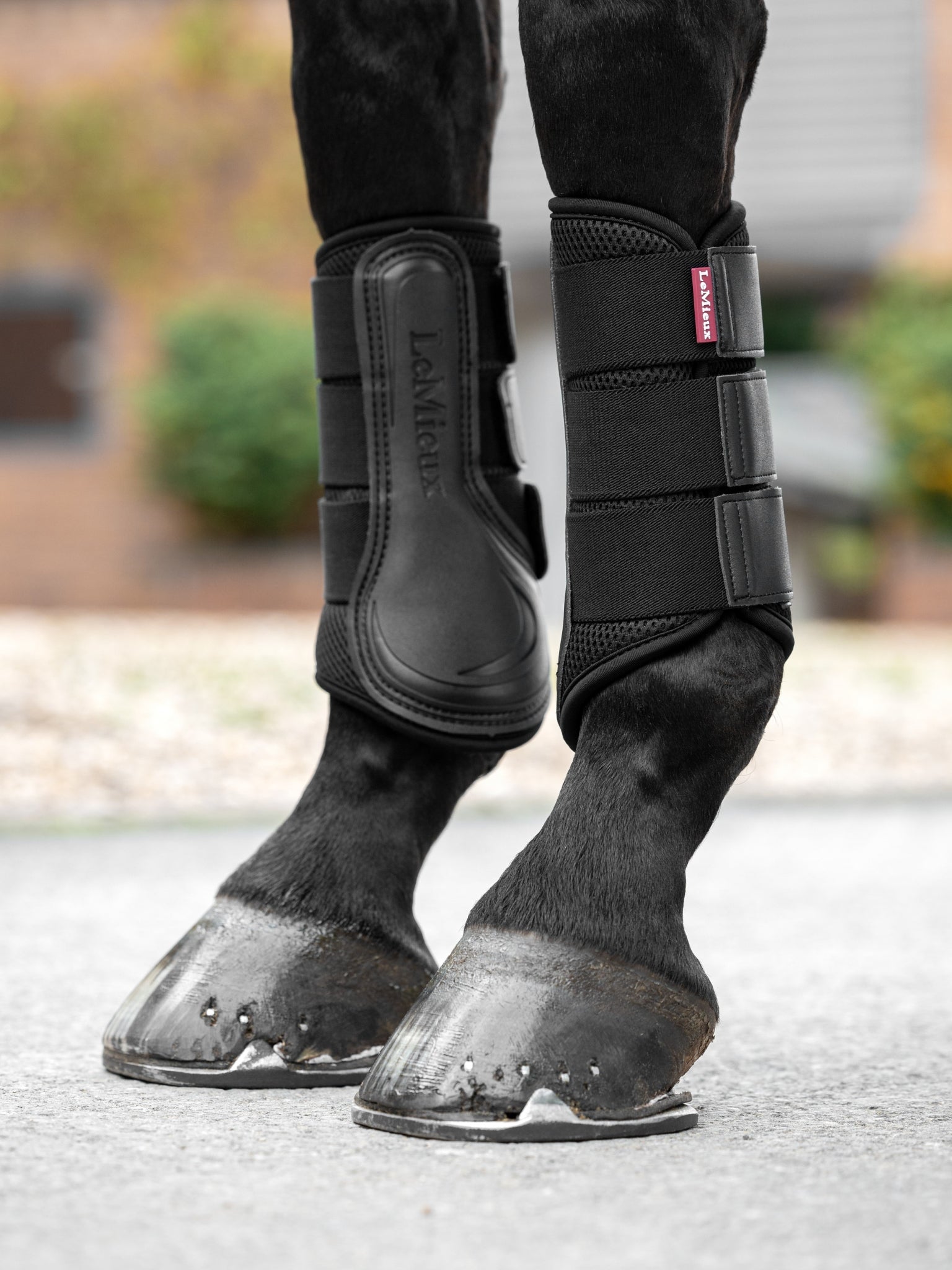 LeMieux Mesh Brushing Boot