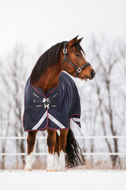 LeMieux Kudos Turnout Rug 200g
