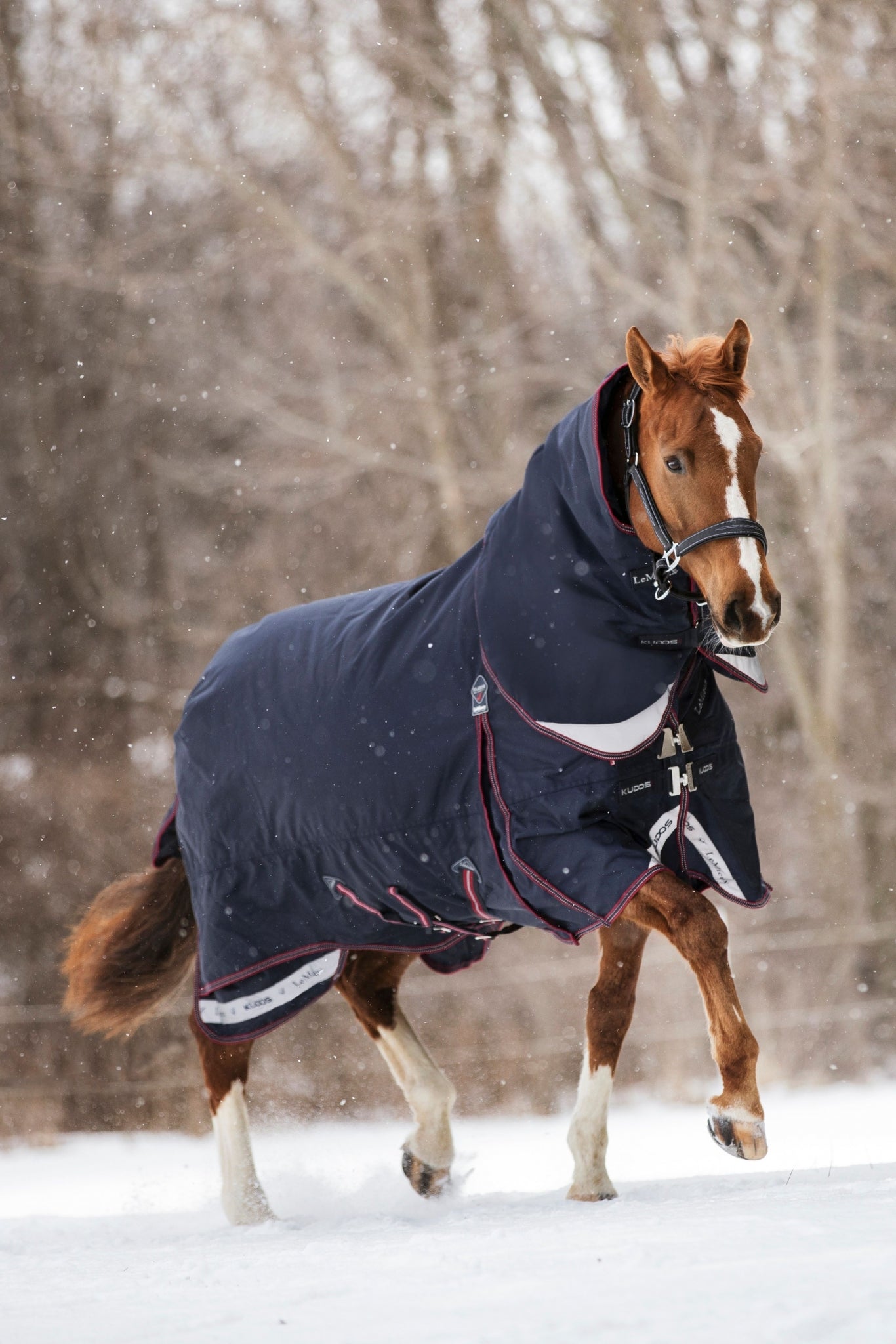 LeMieux Kudos Turnout Rug 200g