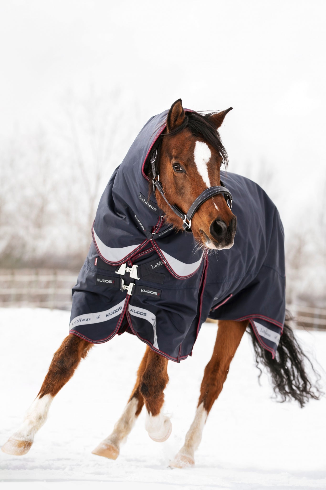 LeMieux Kudos Turnout Rug 200g
