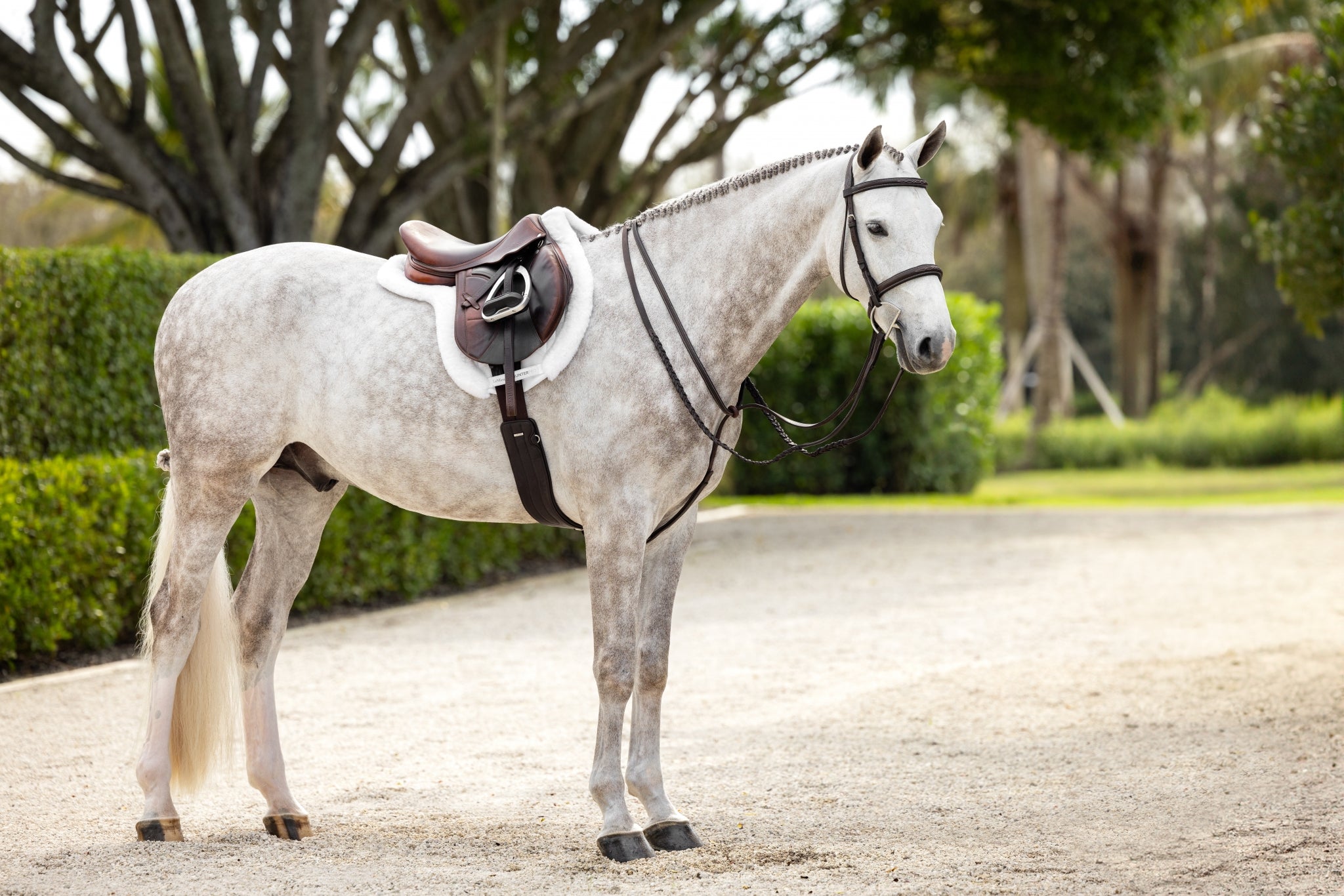 Lemieux Merino+ ProSorb Hunter Saddle Pad