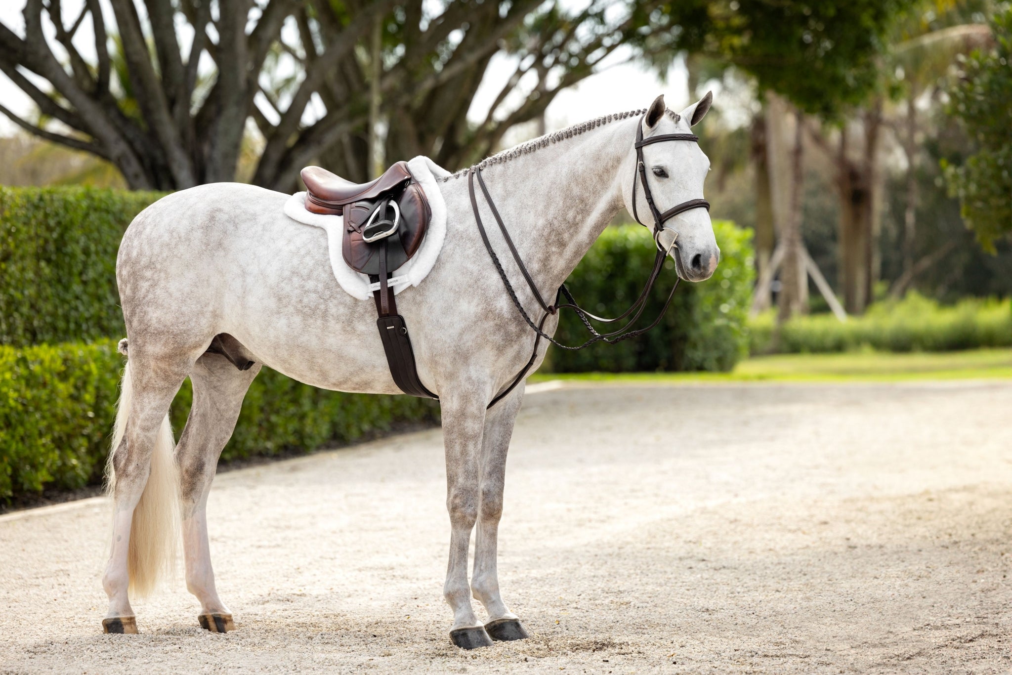 LeMieux Stitched Hunter Bridle with Laced Reins