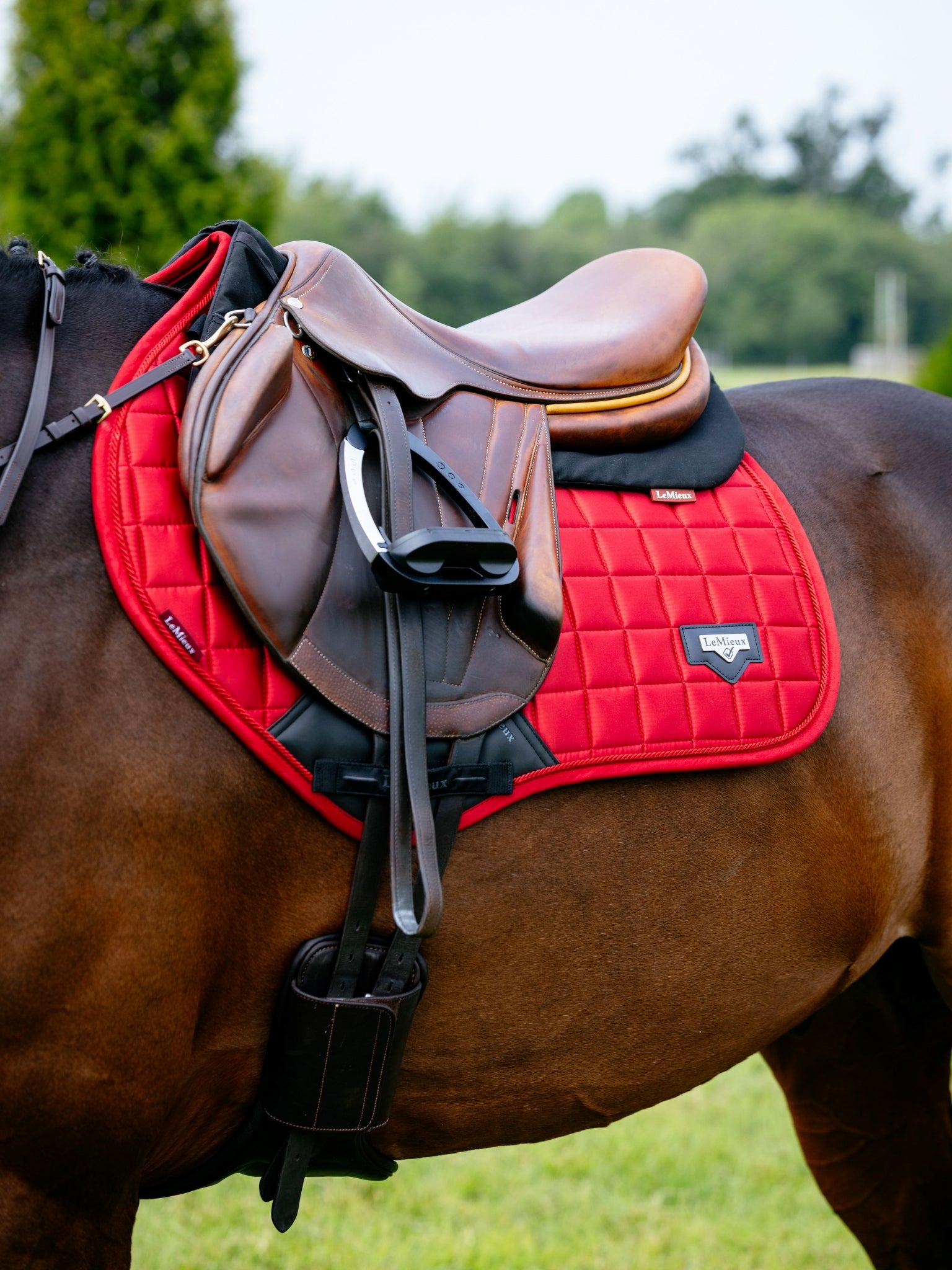 Lemieux Loire Classic Close Contact Square Pad