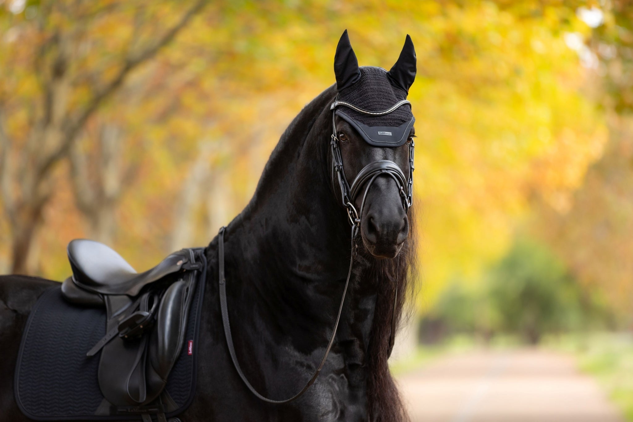 Lemieux Essence Fly Bonnet