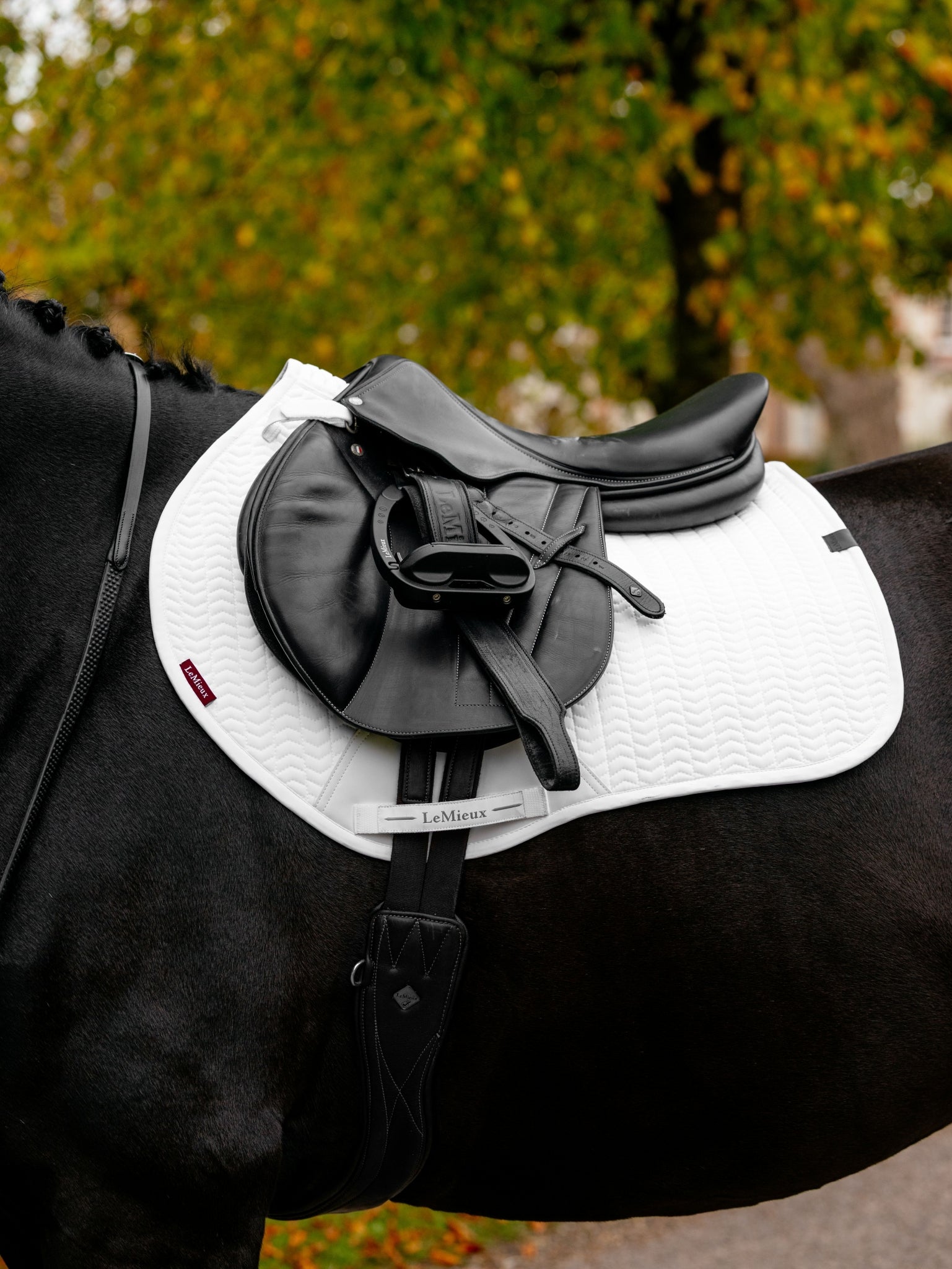 Lemieux Essence Eurojump Square Pad