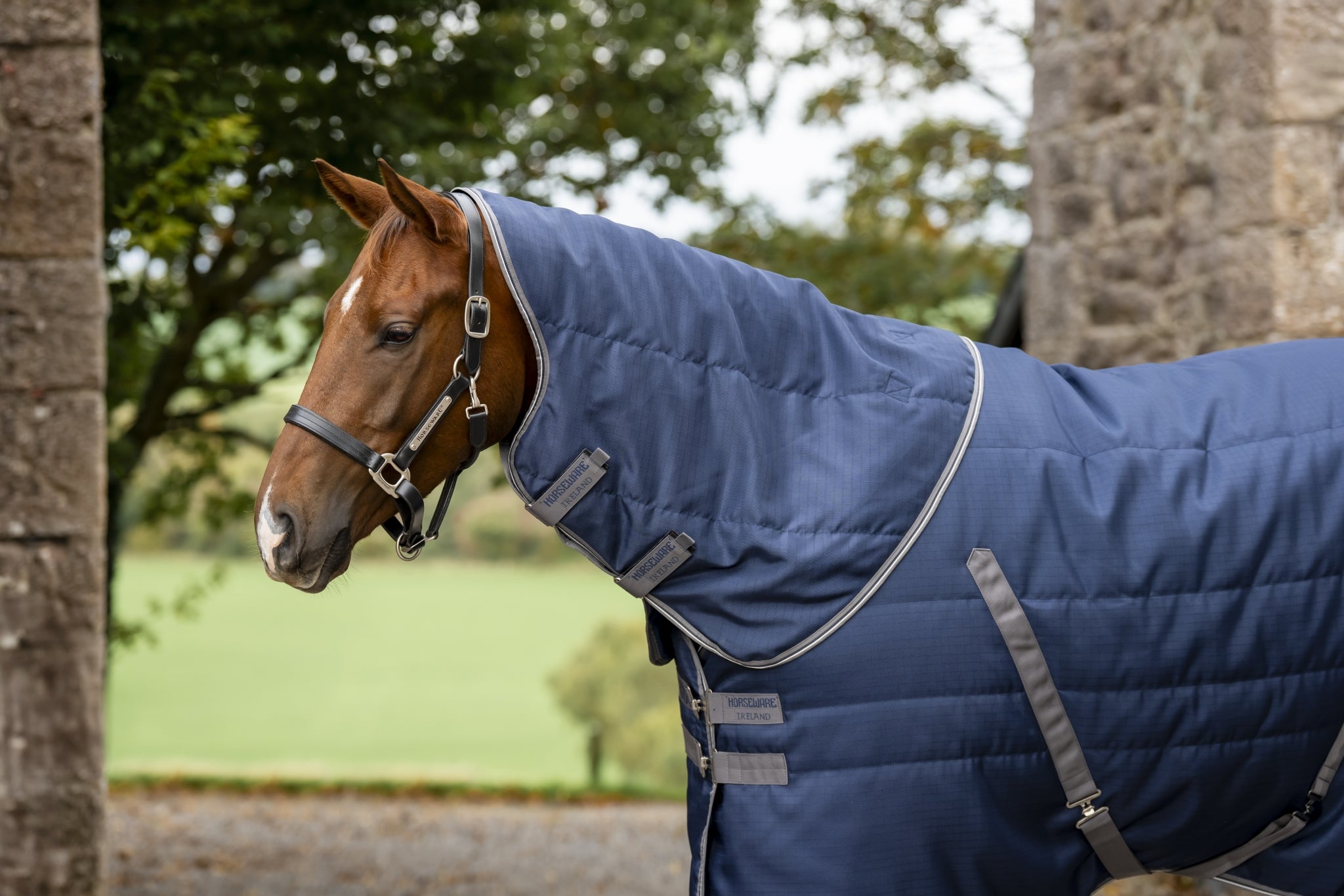 Rambo Stable Hood 100g