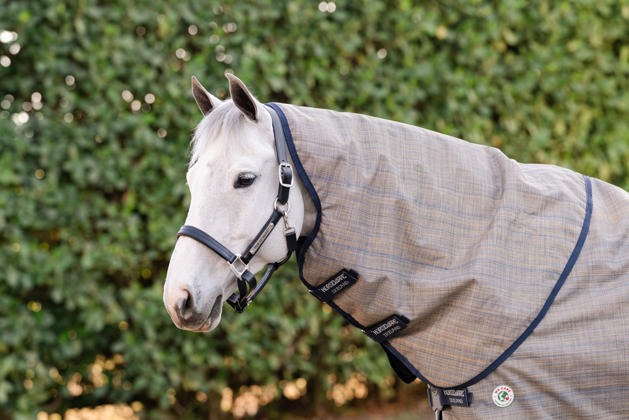 Amigo 900D Revive Plus Turnout 200g