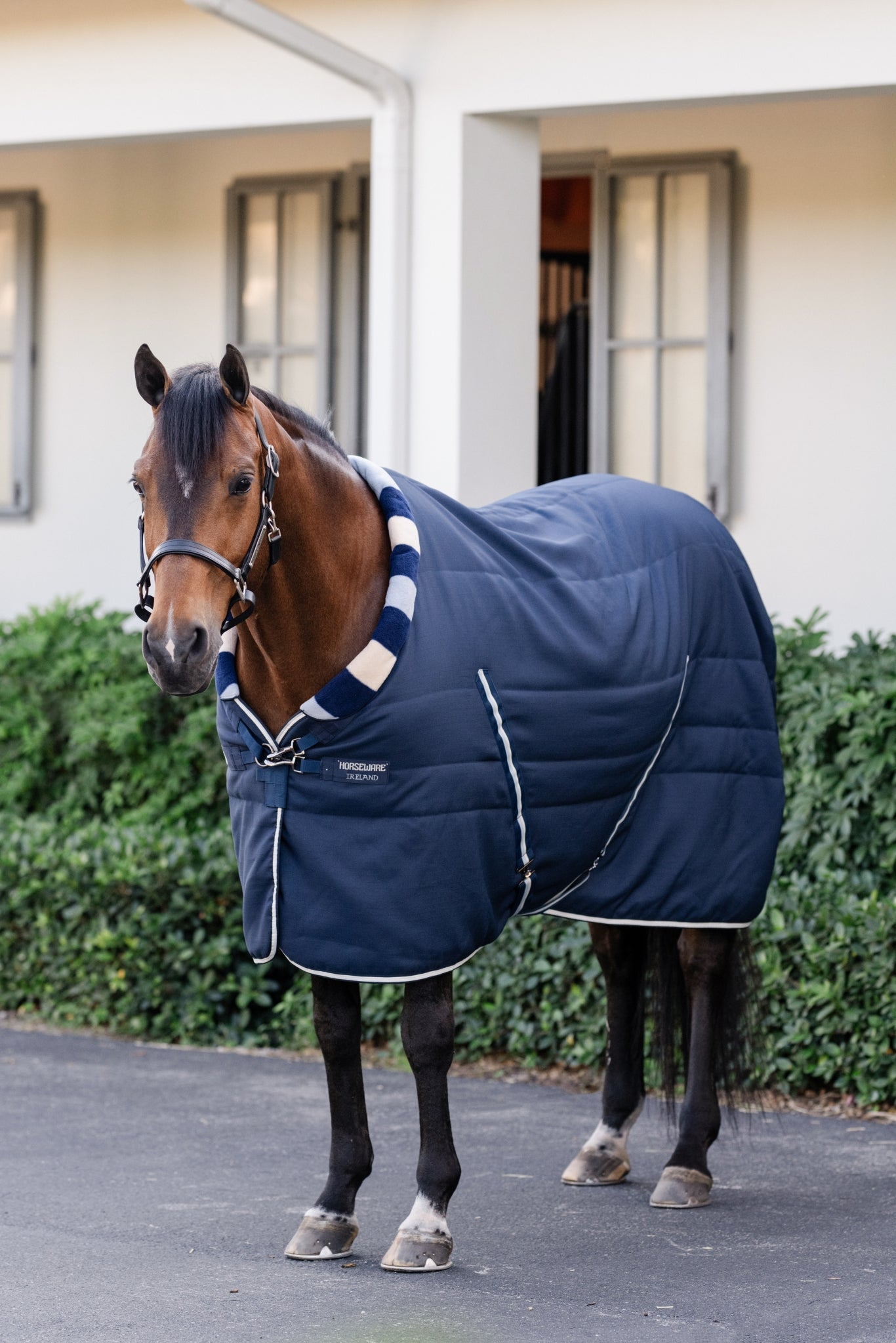 Horseware Newmarket Cozy Stable 400g