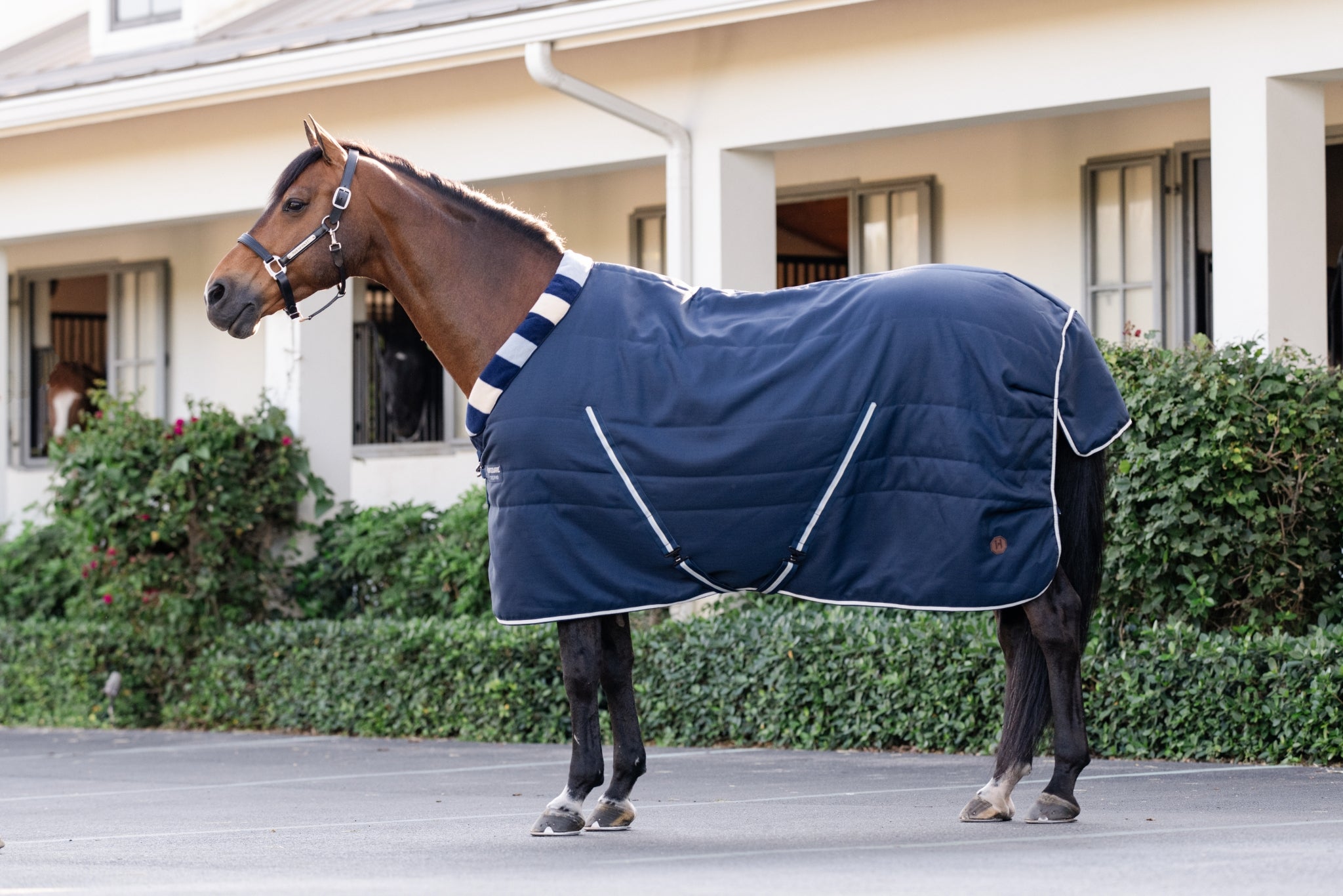 Horseware Newmarket Cozy Stable 400g