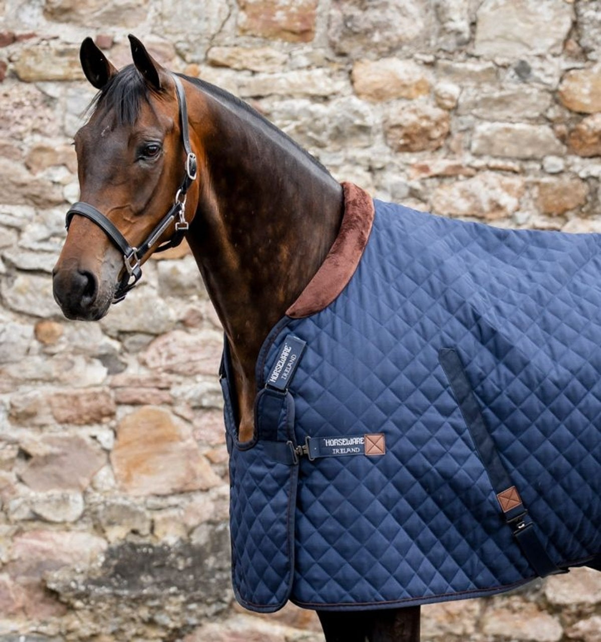 Horseware Signature Stable 200g