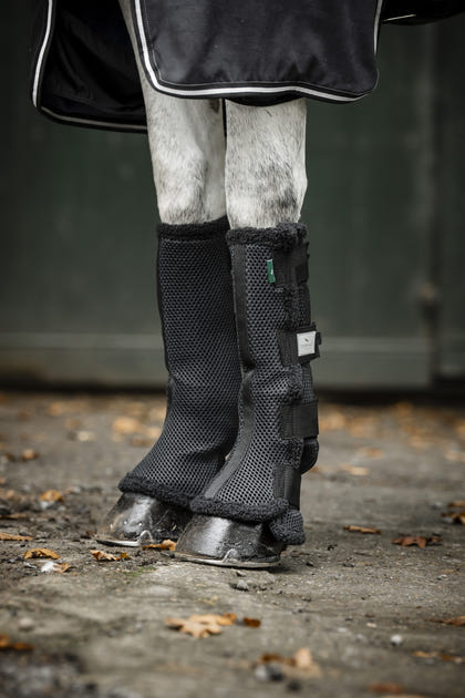 Horseware Show Ready Wraps