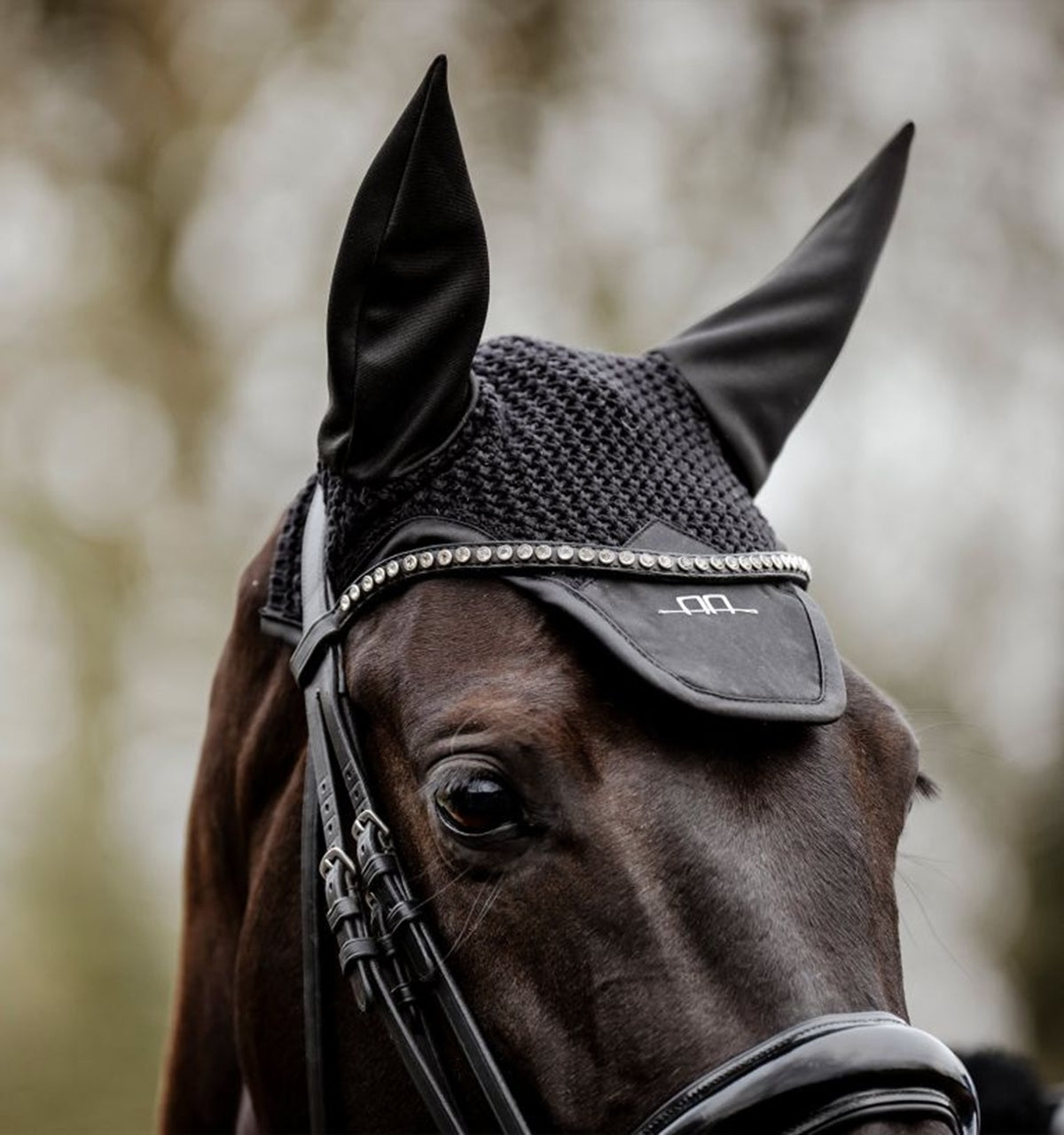 Alessandro Albanese Ear Net