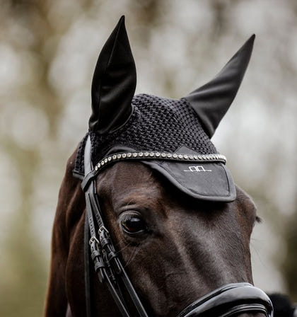 Alessandro Albanese Ear Net