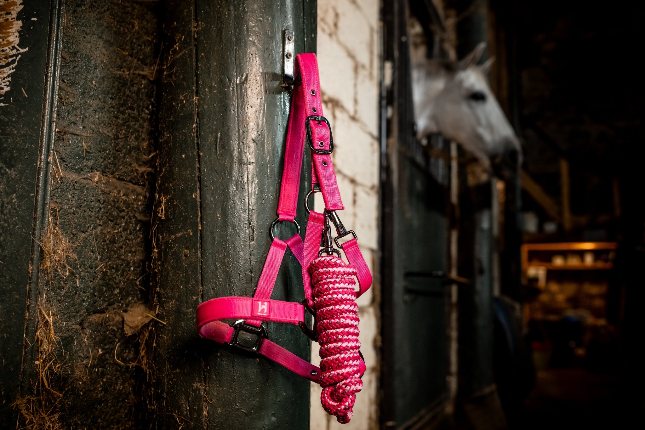 Horseware Newmarket Halter & Lead Rope