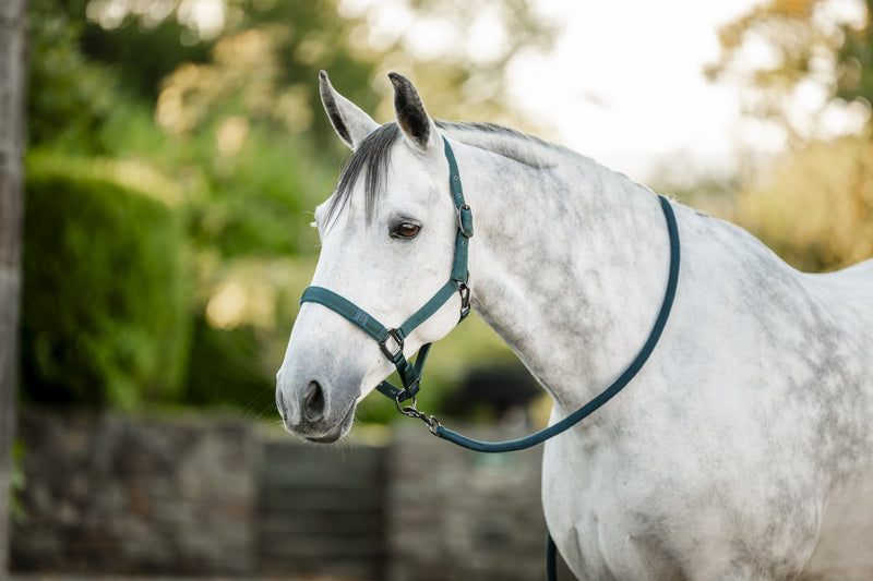 Horseware Halter & Lead Rope