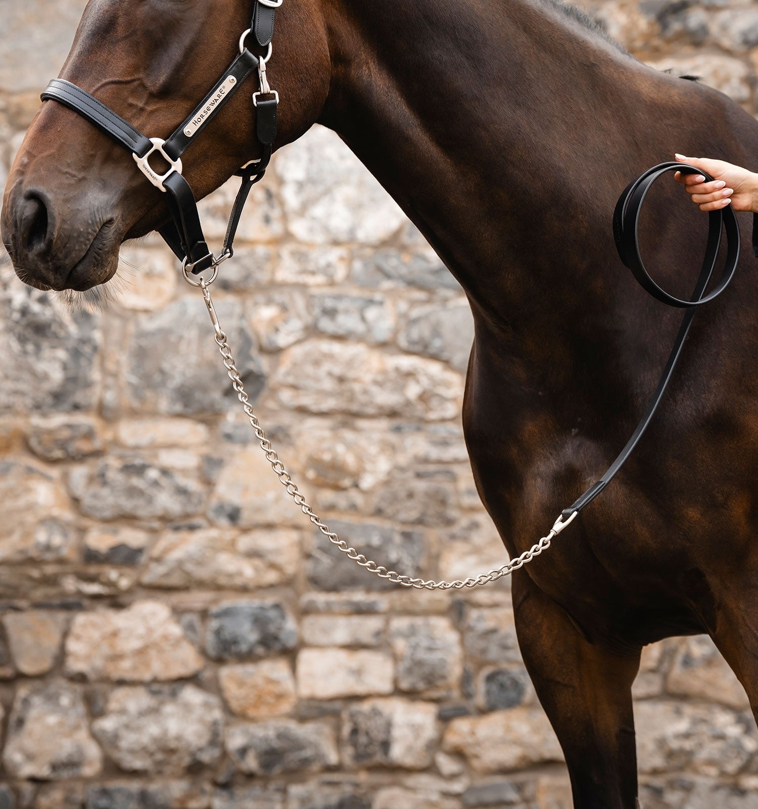 Horseware Signature Lead with Chain