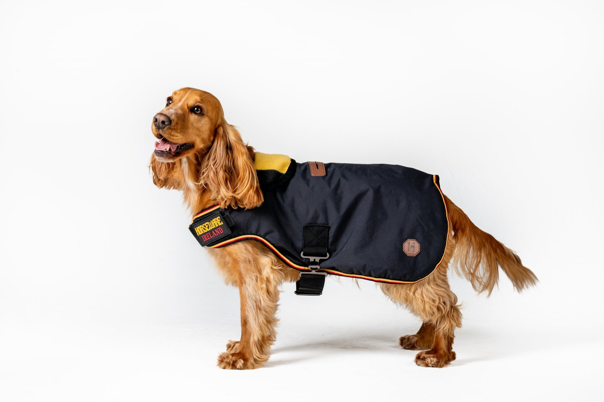 Horseware Newmarket Dog Coat