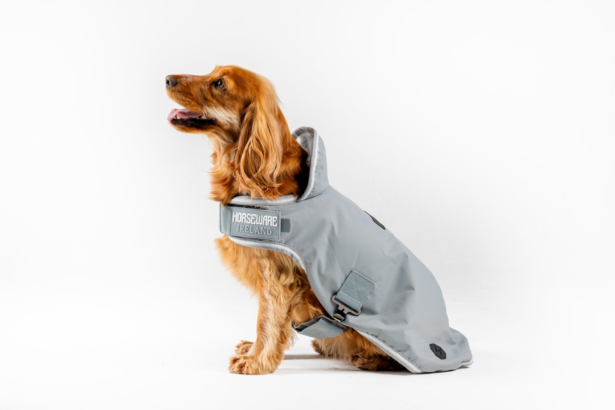 Horseware Newmarket Dog Coat