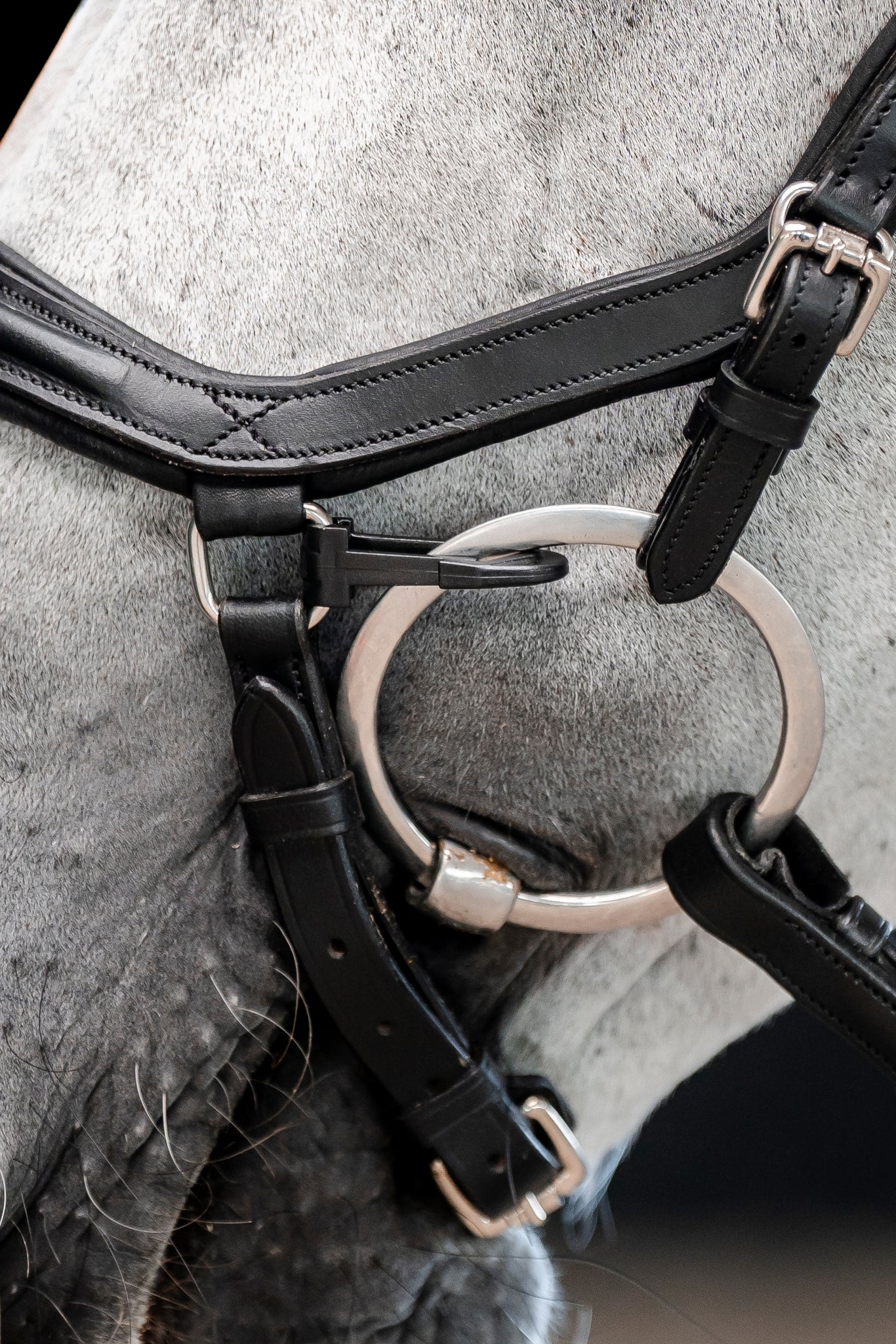 Horseware Micklem Bit Clips
