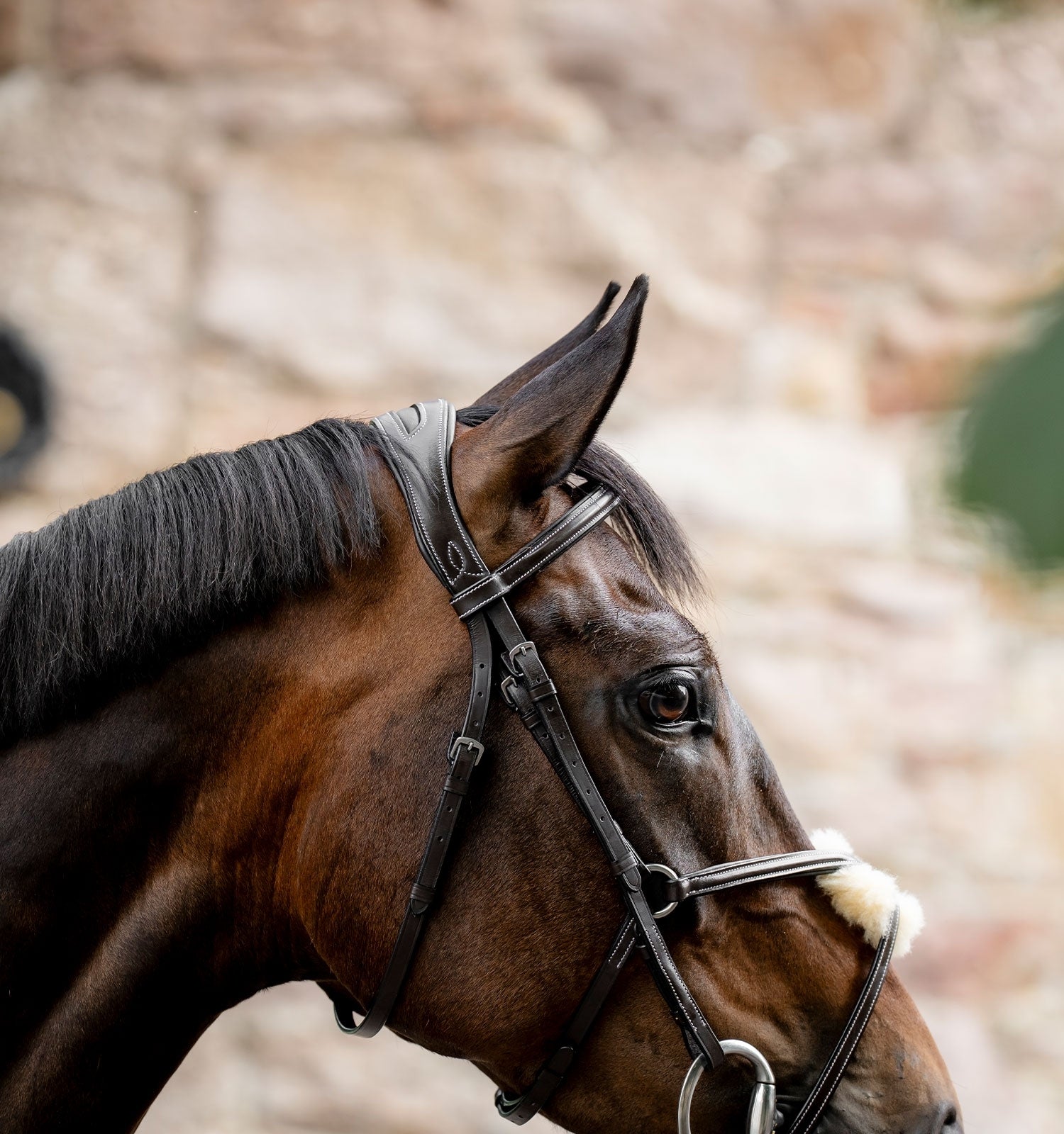 Horseware Figure 8 Grackle Bridle