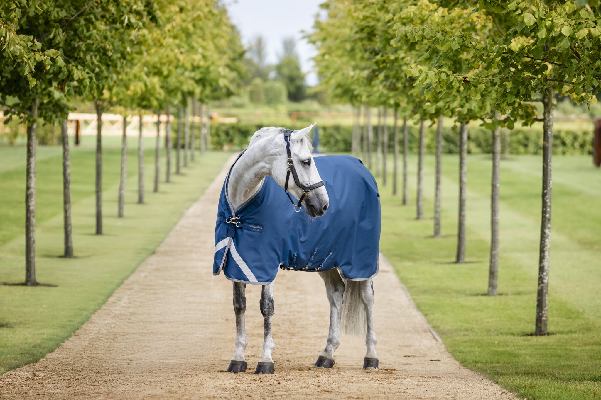 Horseware Ionic Therapy Turnout 100g