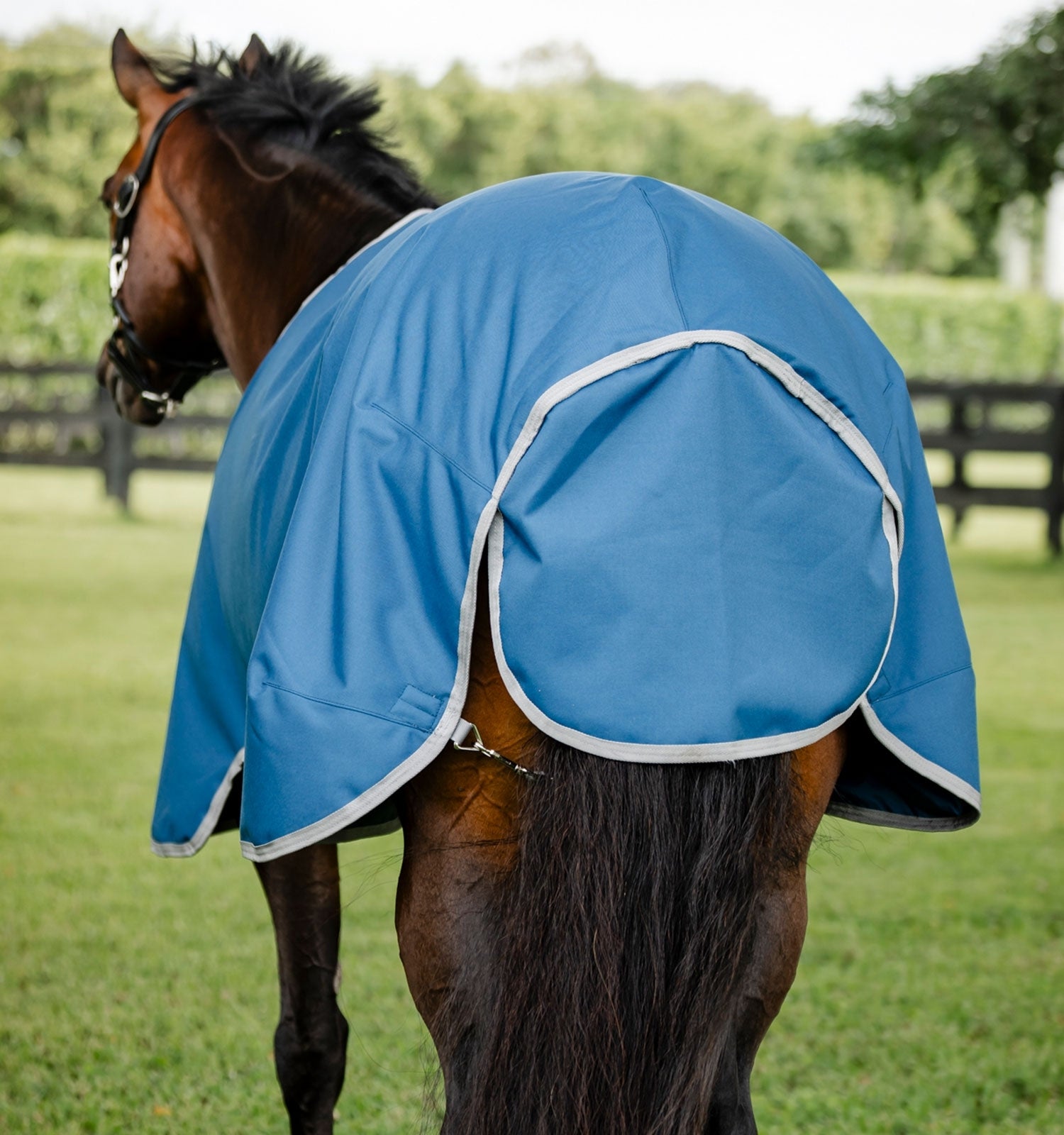 Horseware Ionic Therapy Quarter Horse Turnout 100g