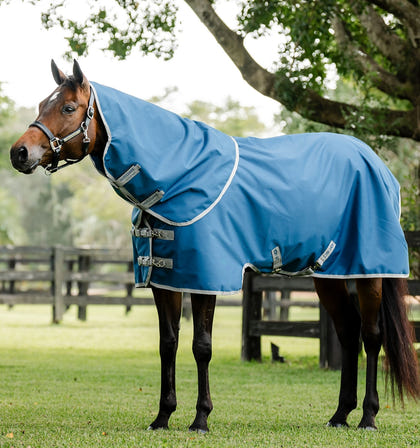 Horseware Ionic Therapy Quarter Horse Turnout 100g