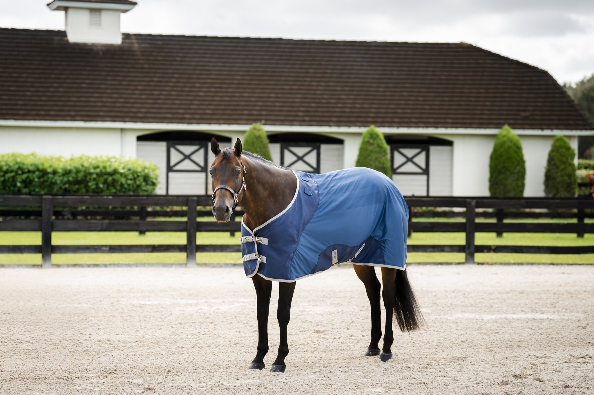 Horseware Ionic Therapy Quarter Horse Mesh Cooler