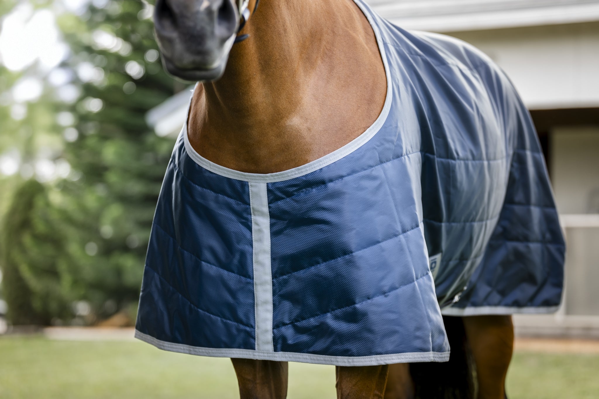 Horseware Ionic Therapy Quarter Horse Stable 50g