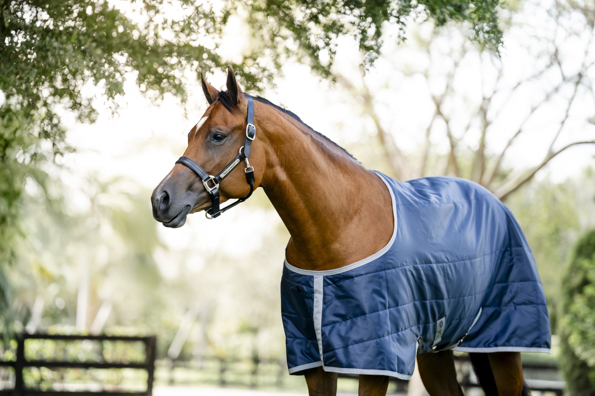 Horseware Ionic Therapy Quarter Horse Stable 50g