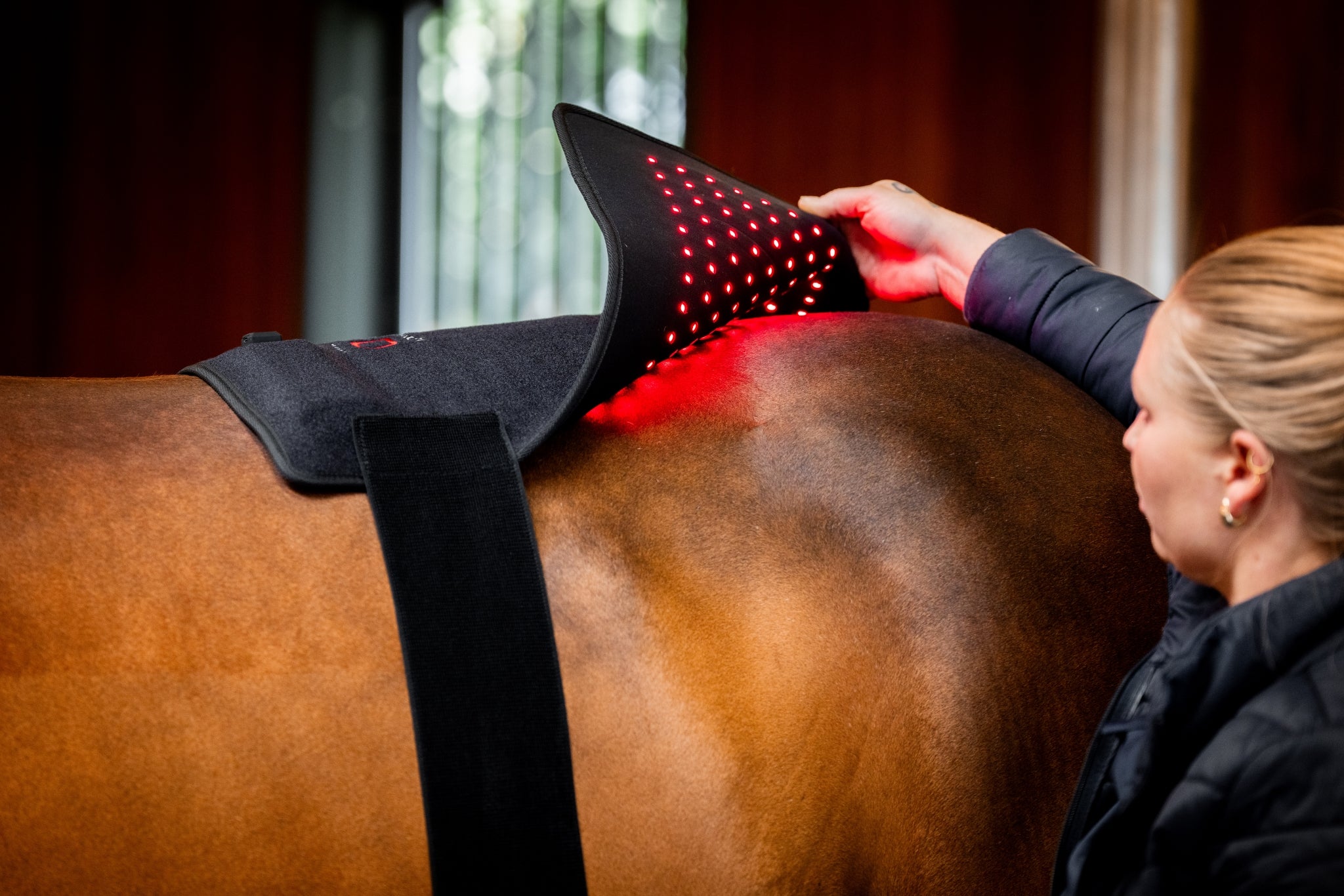 Horseware LED Red Light Therapy Pad