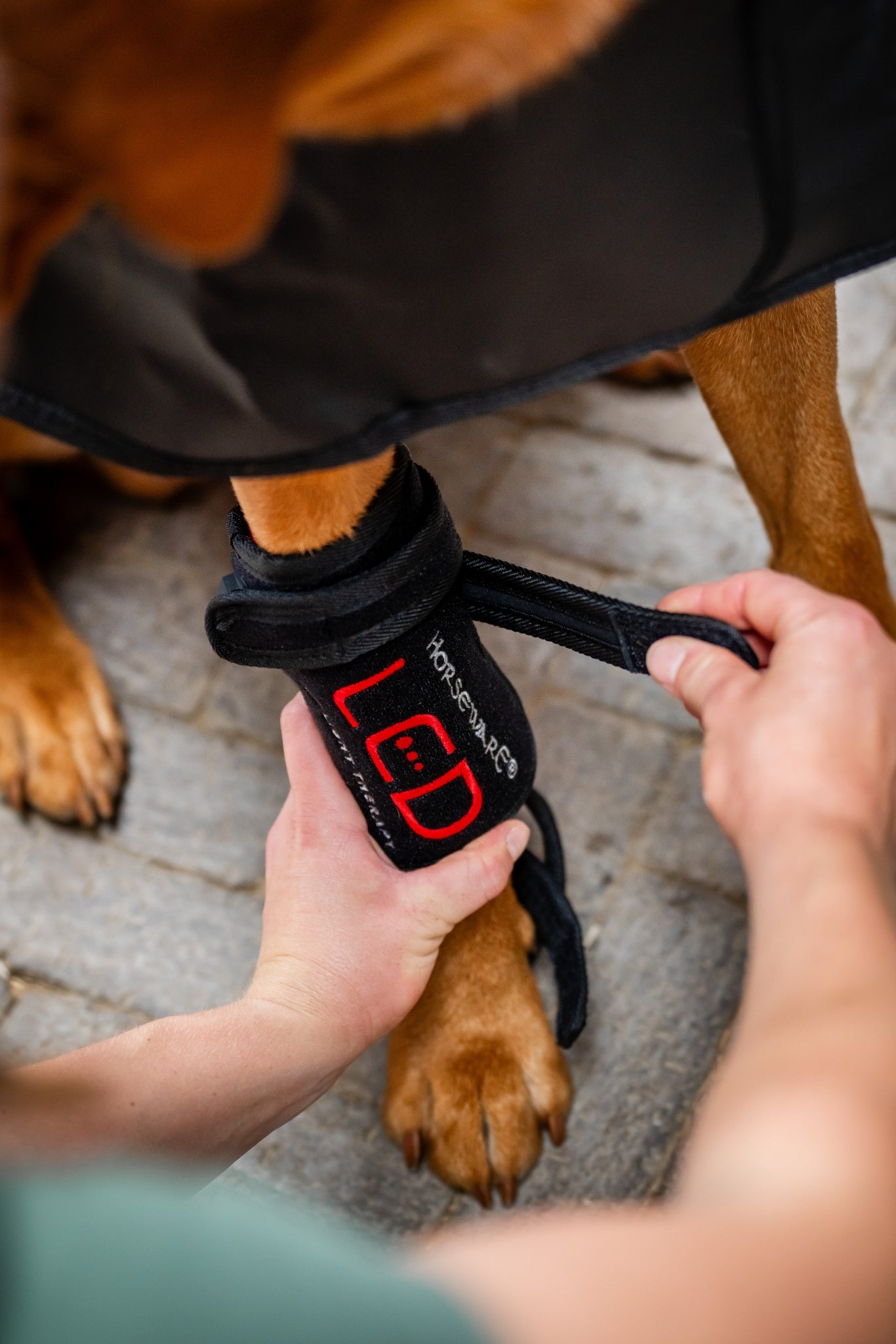 Horseware LED Red Light Therapy Pet Leg Wraps