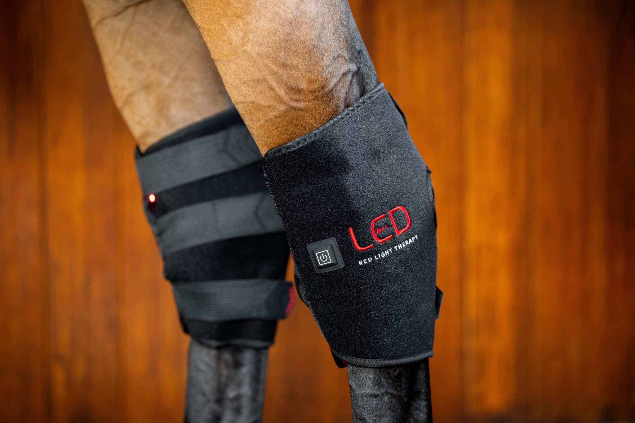 Horseware LED Red Light Therapy Hock Boot