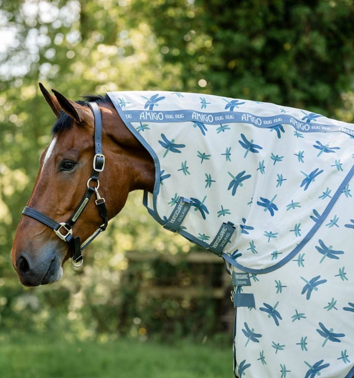 Amigo Bug Rug Hood