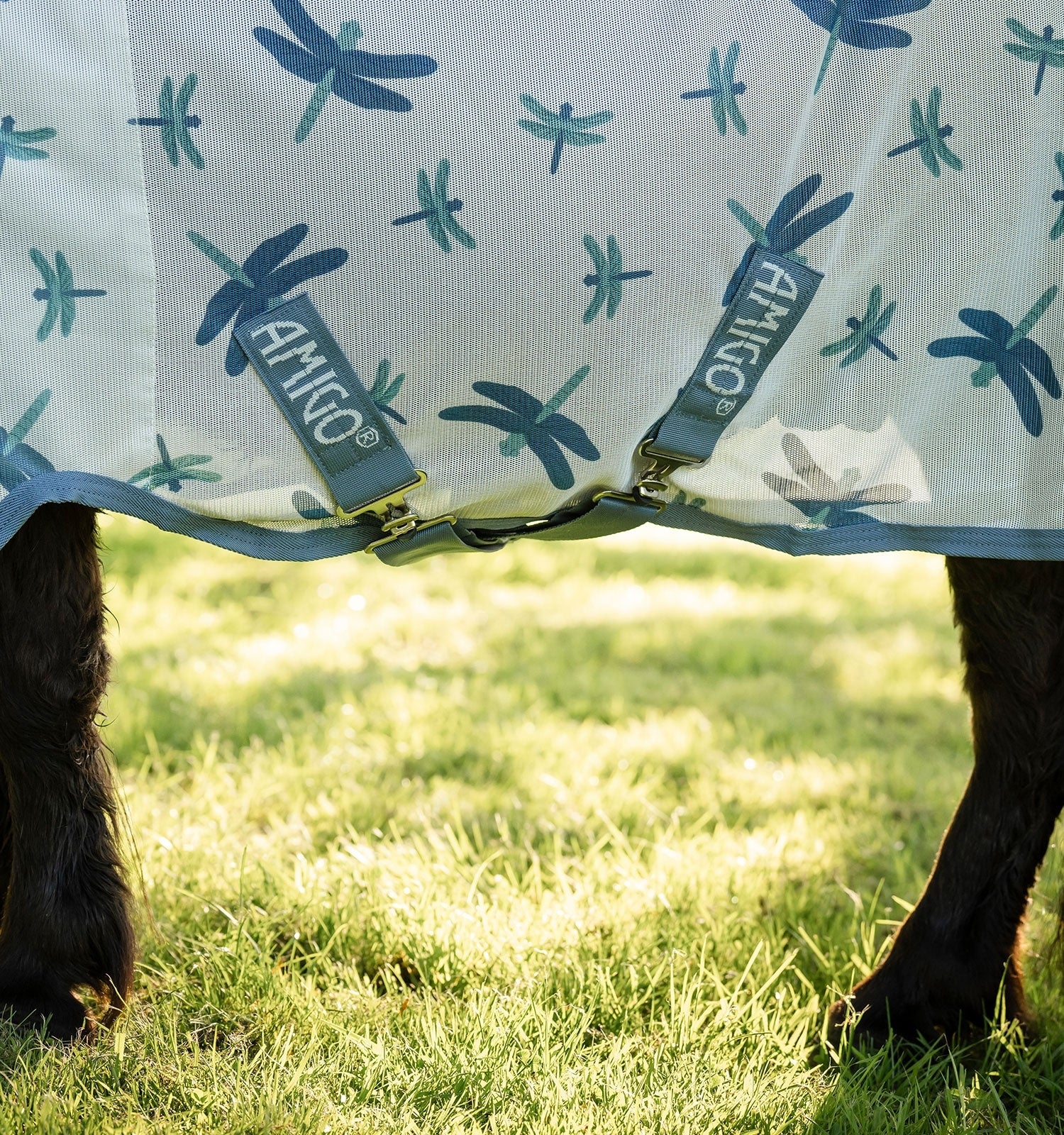 Amigo Bug Rug Plus Petite Fly Sheet