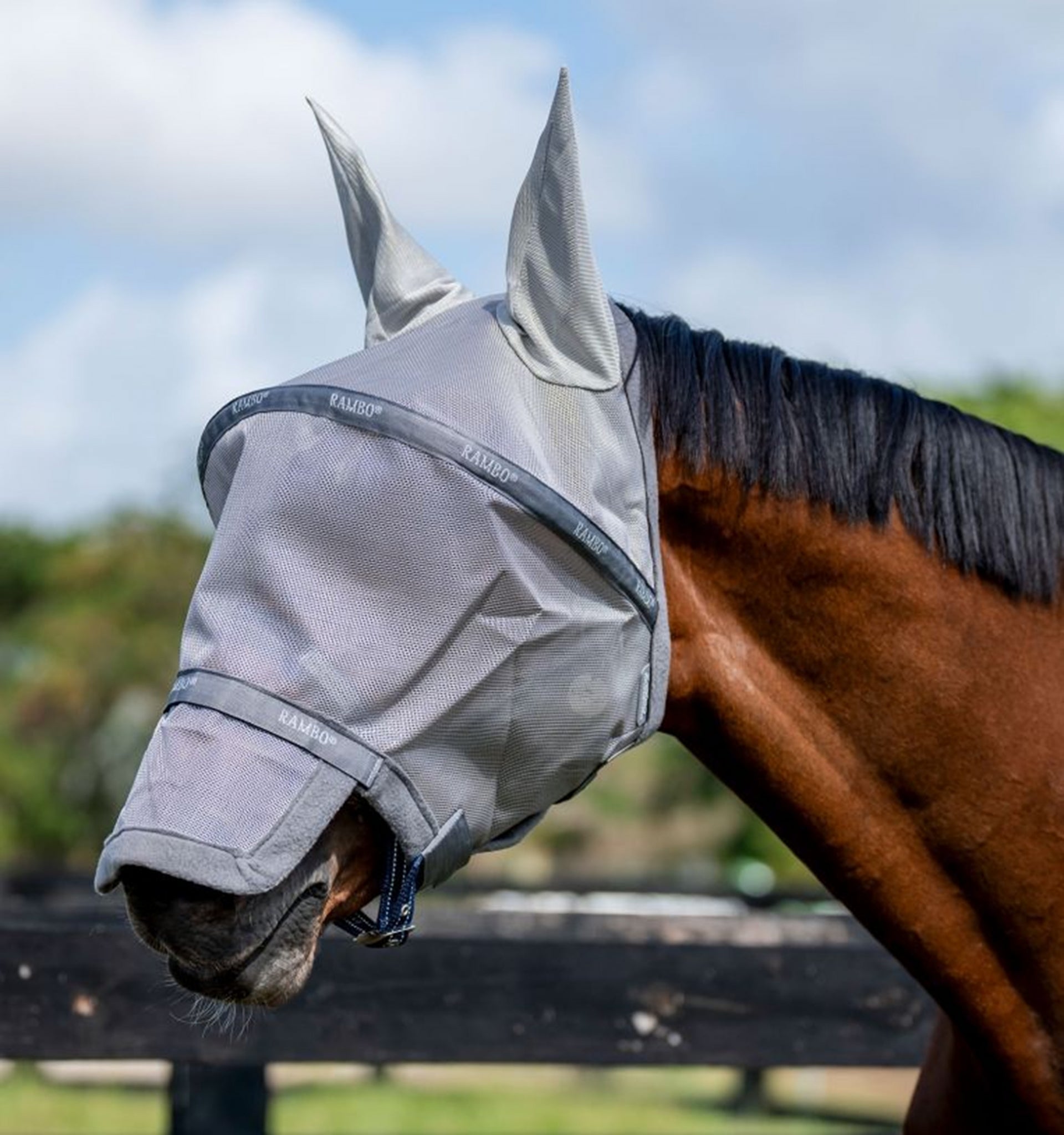 Rambo Flymask