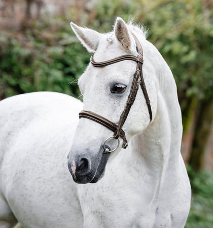 Horseware Pony Cavesson Bridle