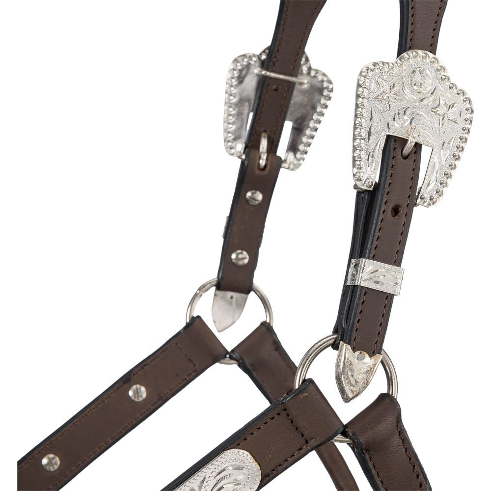 Silver Royal Show Halter with Berry Edge Buckles