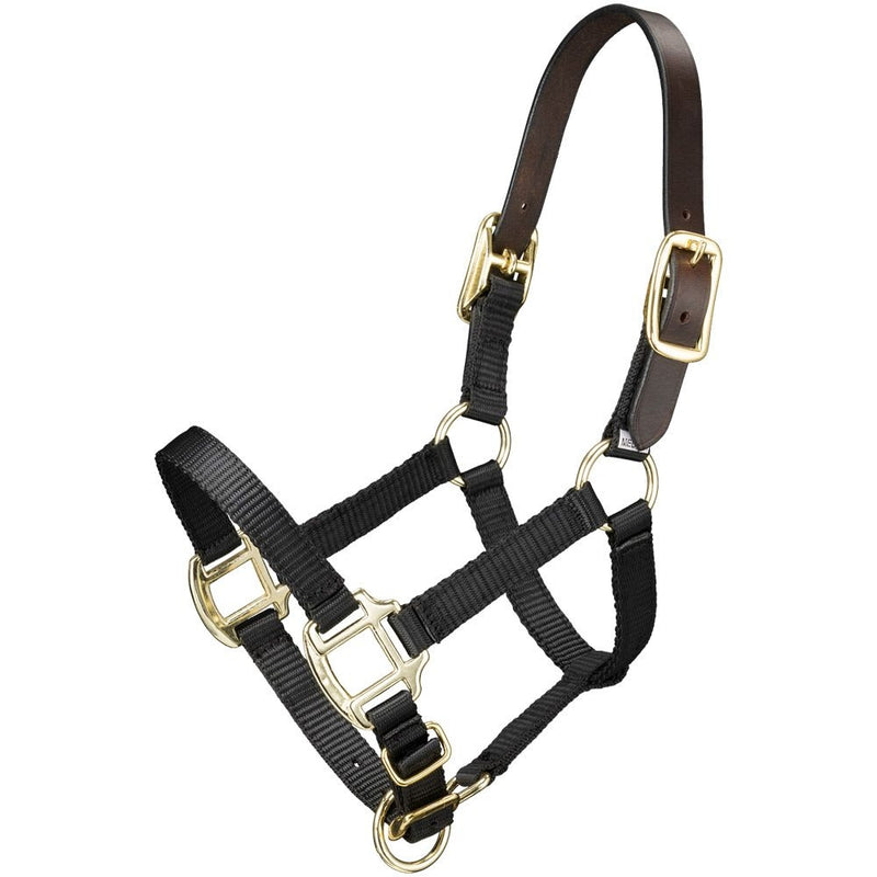 Tough1 Premium Breakaway Mini Nylon Halter