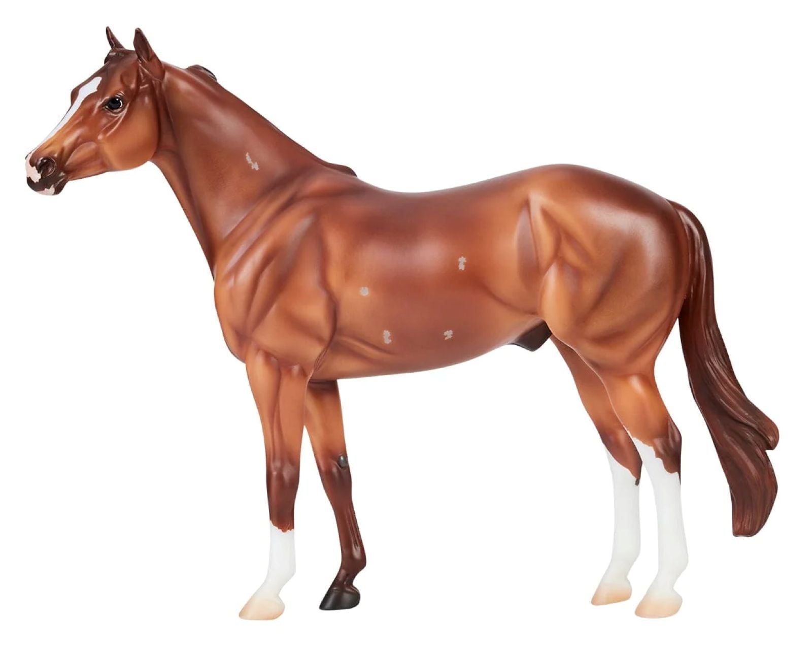 Breyer Apollitical Jess