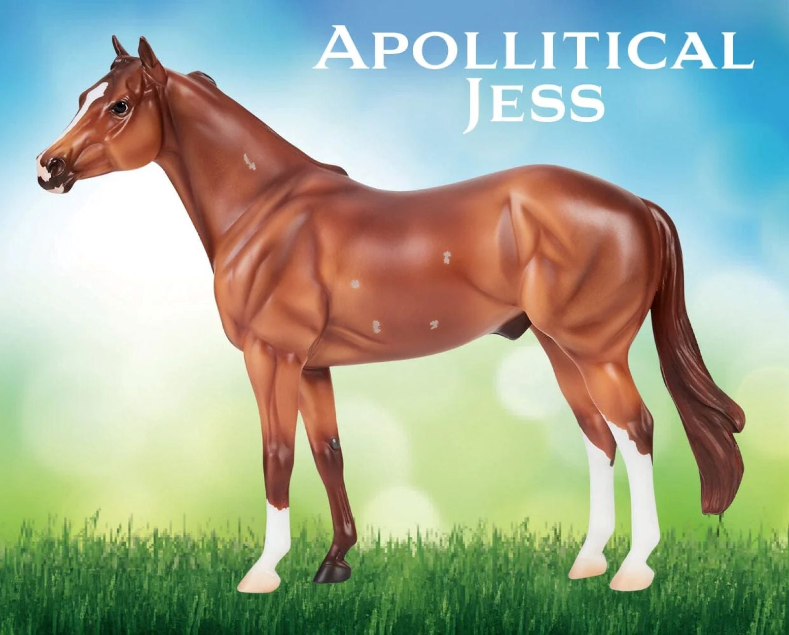 Breyer Apollitical Jess