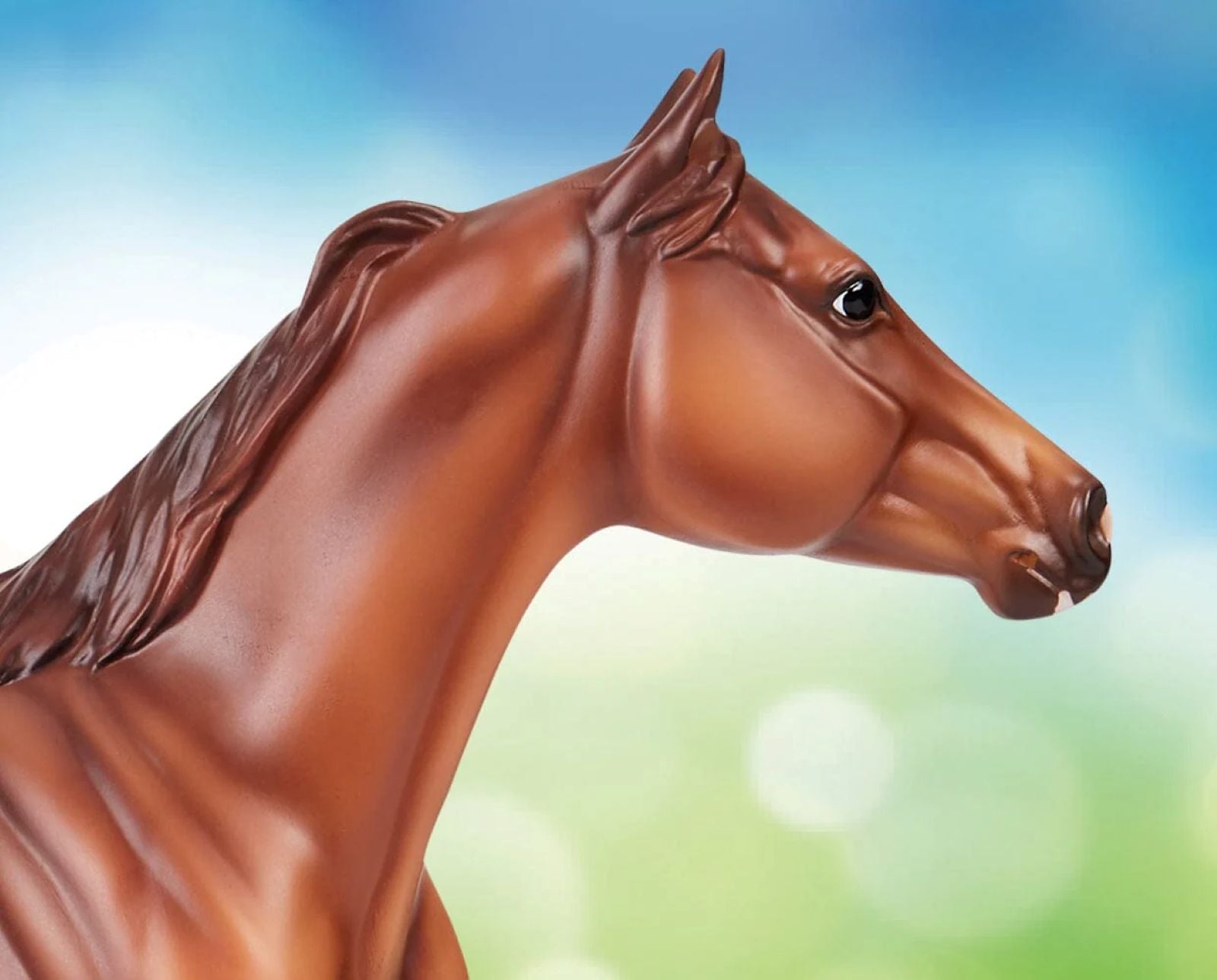 Breyer Apollitical Jess