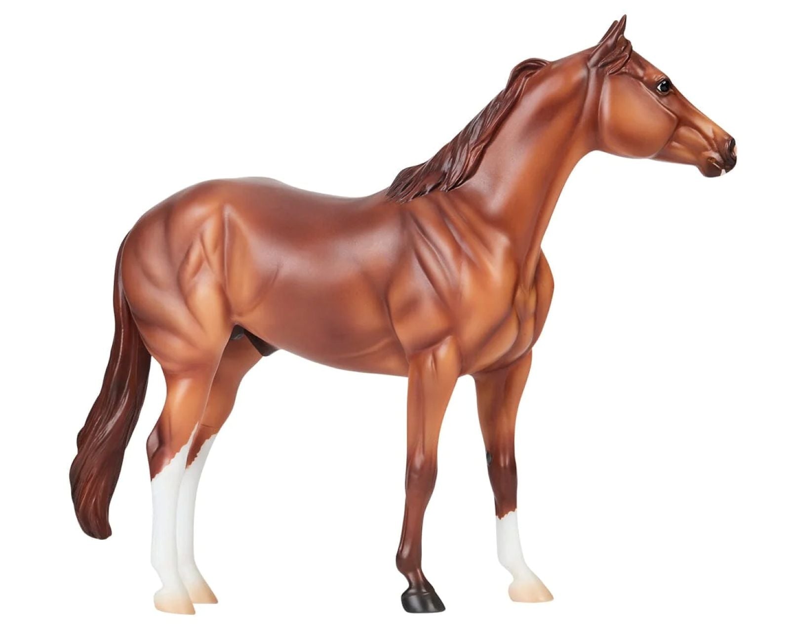 Breyer Apollitical Jess