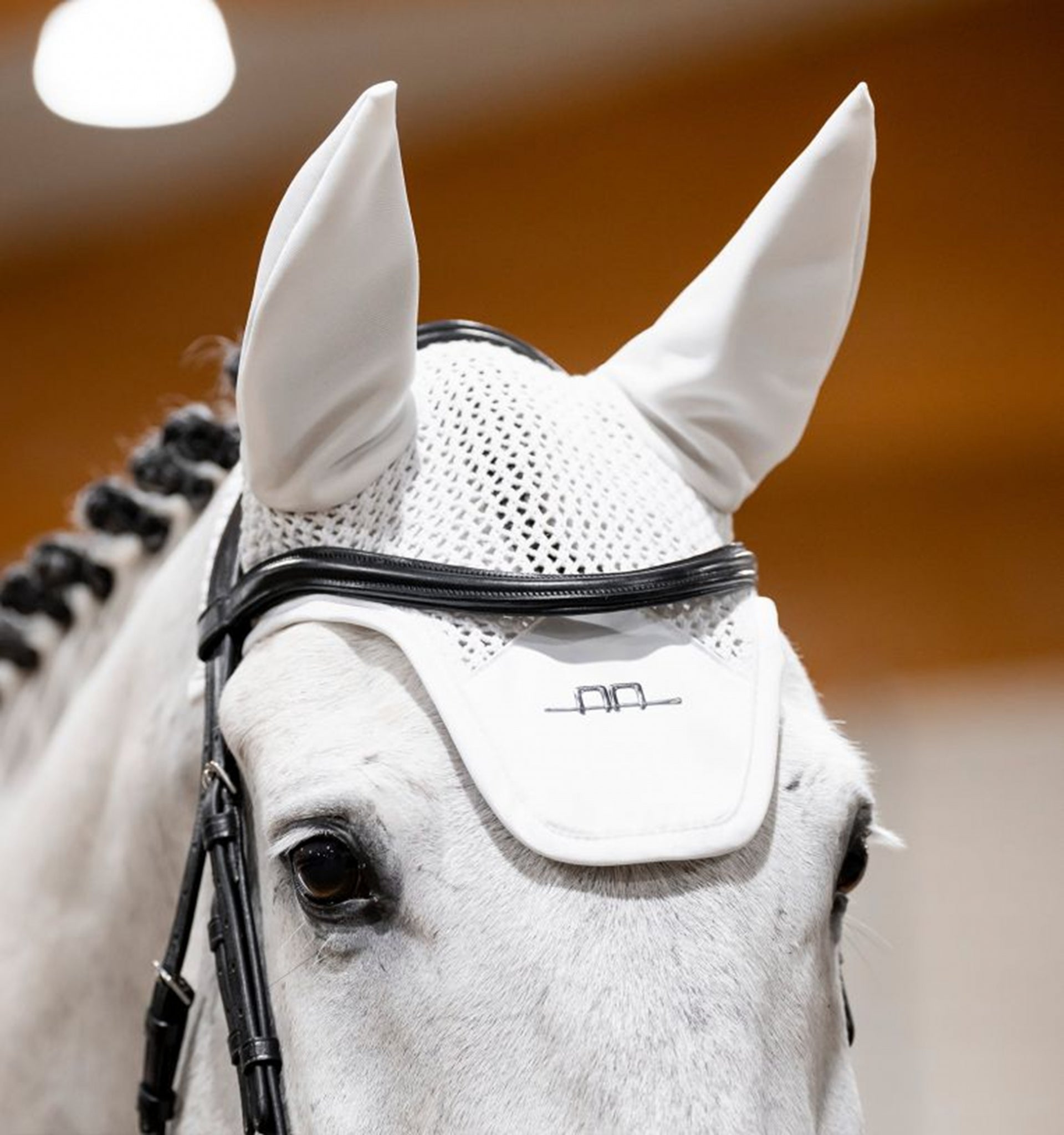 Alessandro Albanese Ear Net