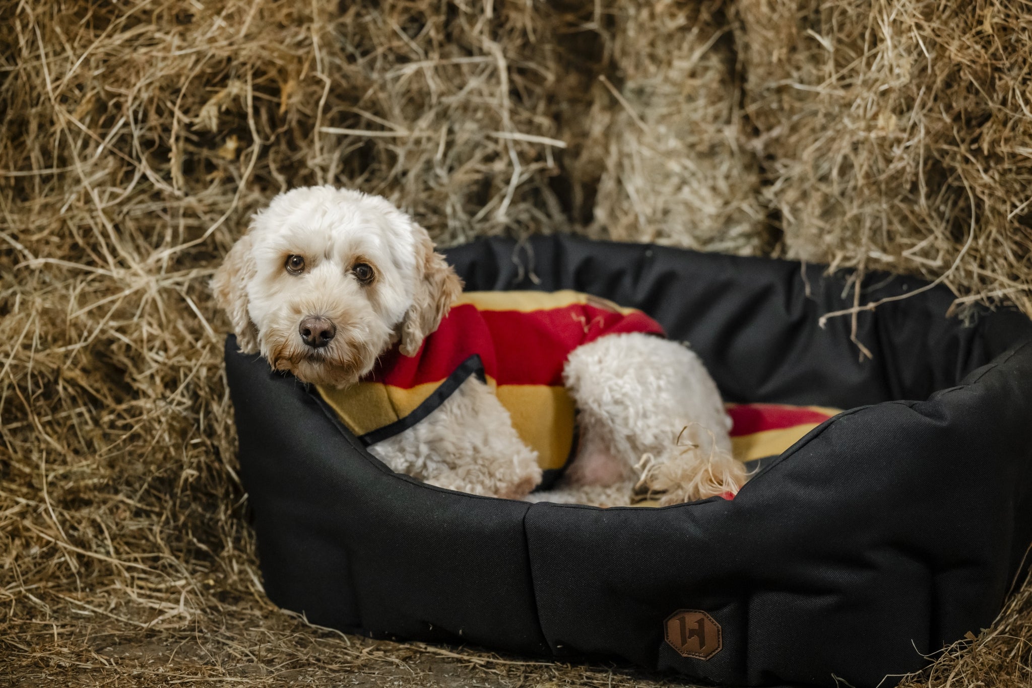 Horseware Newmarket Dog Bed