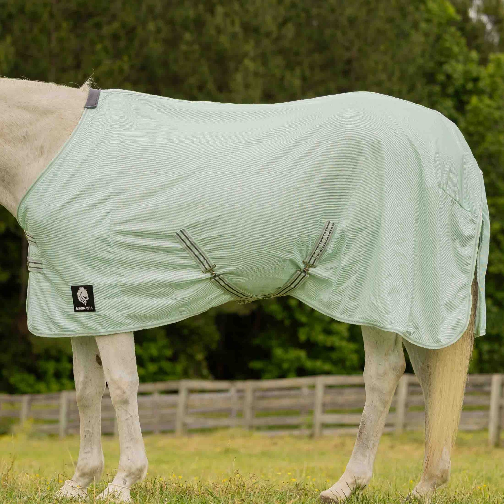 Equinavia Gard Fly Sheet