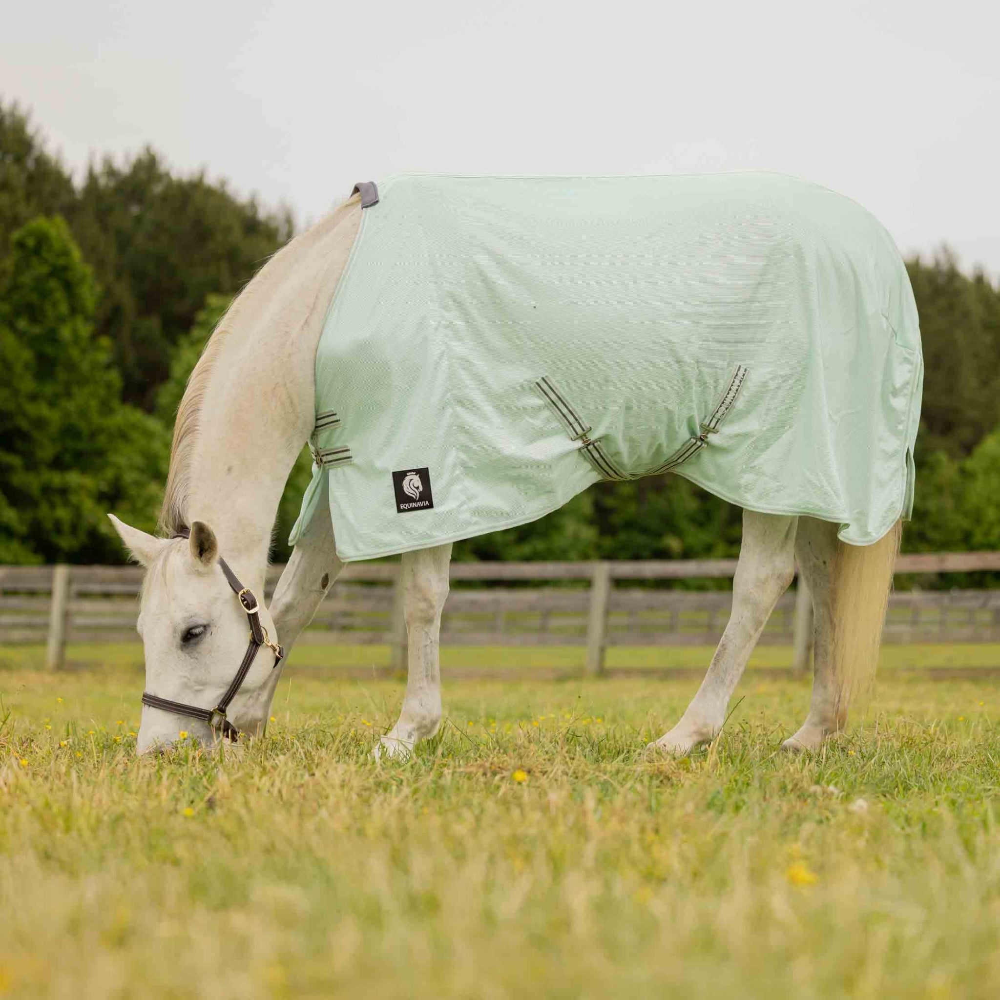 Equinavia Gard Fly Sheet