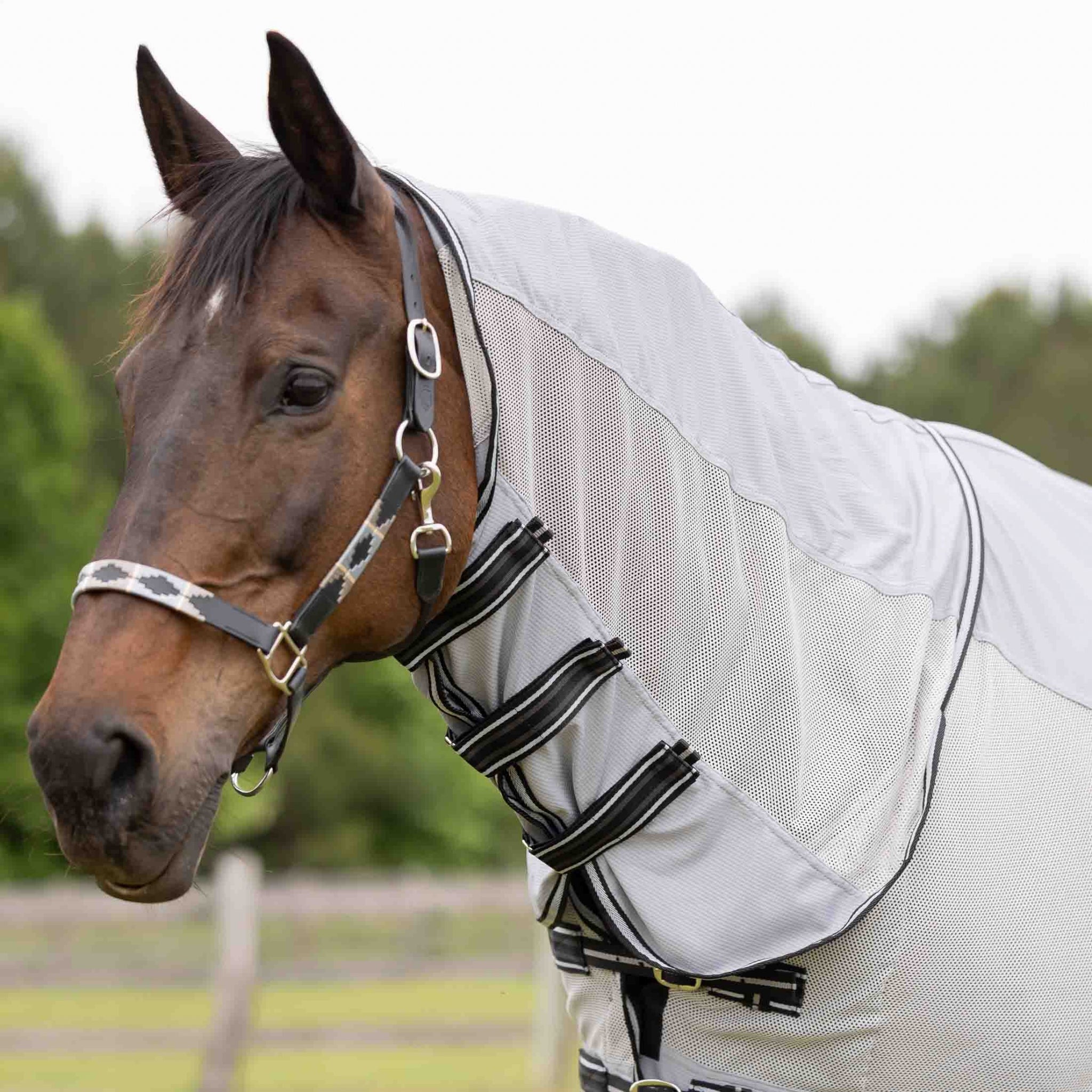Equinavia Chill Summer Protector Sheet